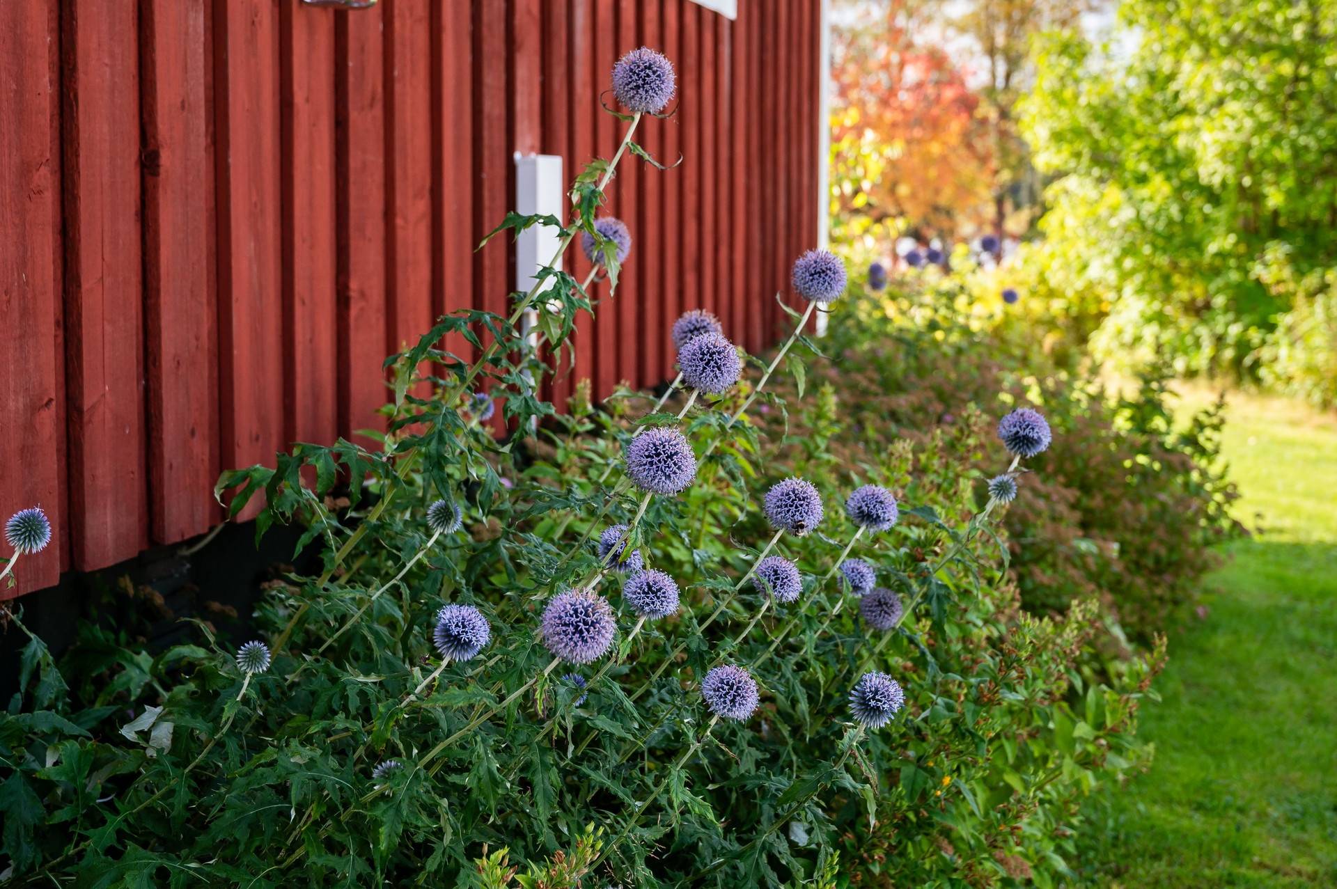 3 rum Villa på Handsjön 670 Bergs kommun - bild 23