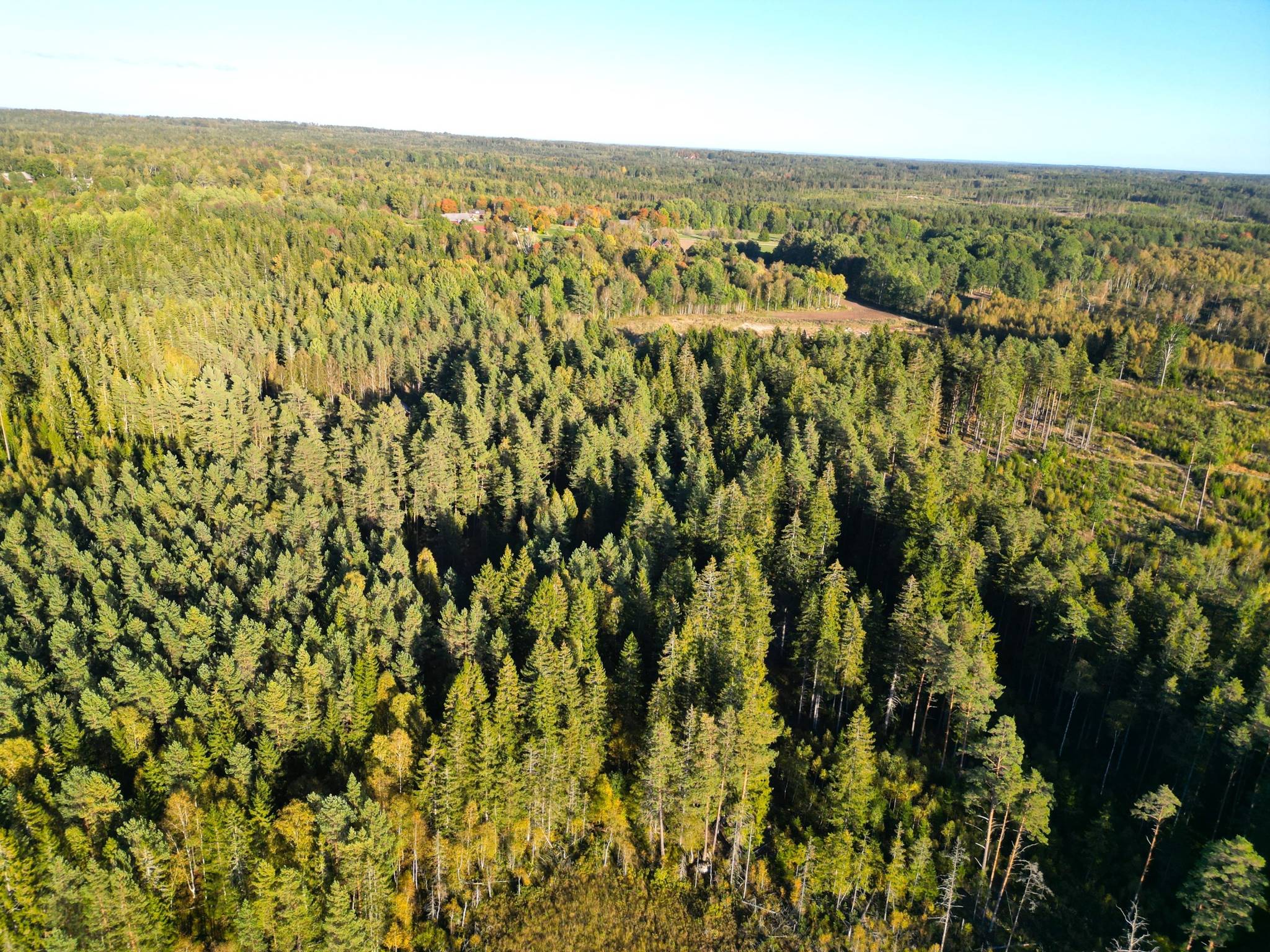 Gård med skogsbruk på Trällebonäs, Älmeboda Älmeboda Trällebo Tingsryds kommun - bild 4