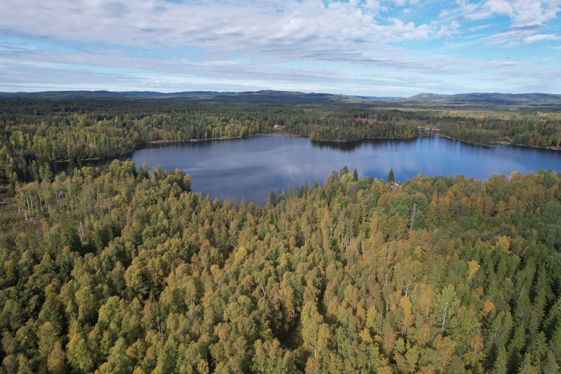 Gård med skogsbruk på Norbohyttan Säters kommun - bild 12