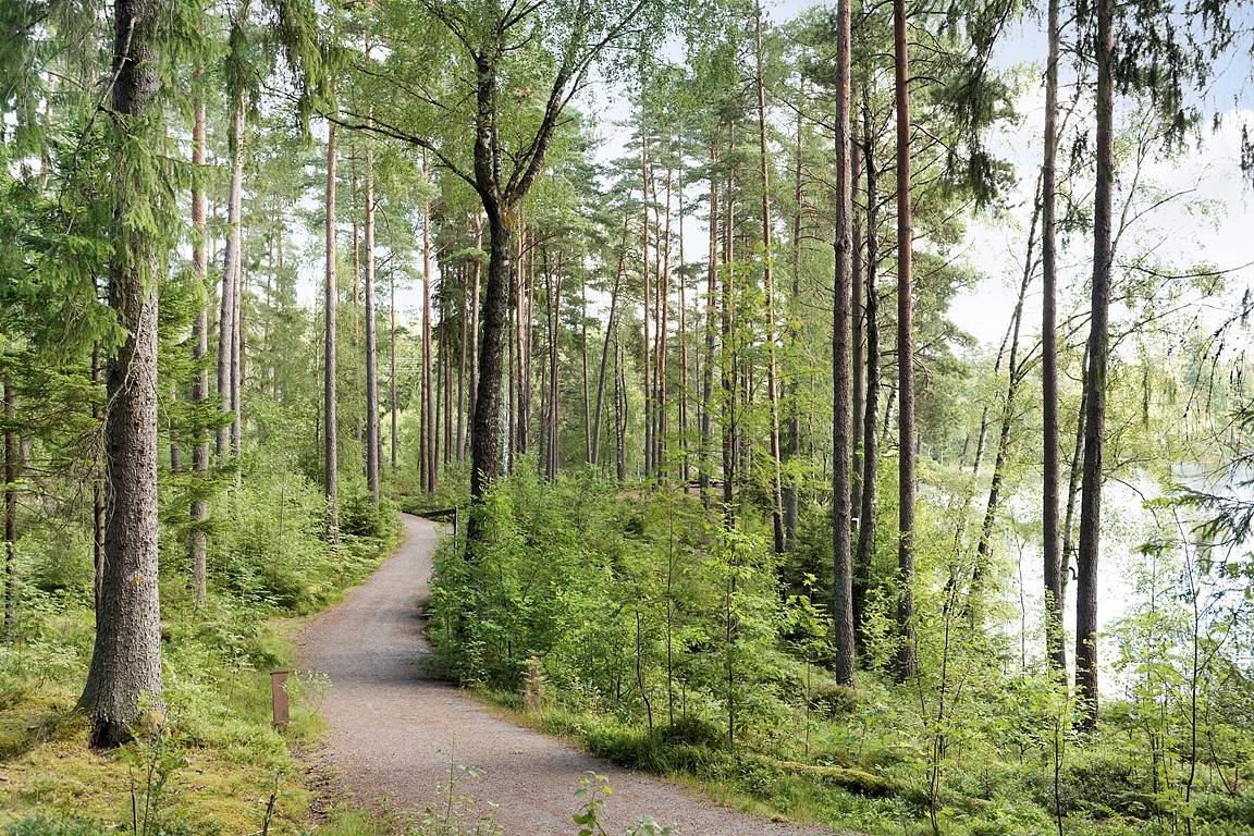 4 rum Lägenhet på Lagercrantz plats 7B Regementet Borås kommun - bild 25
