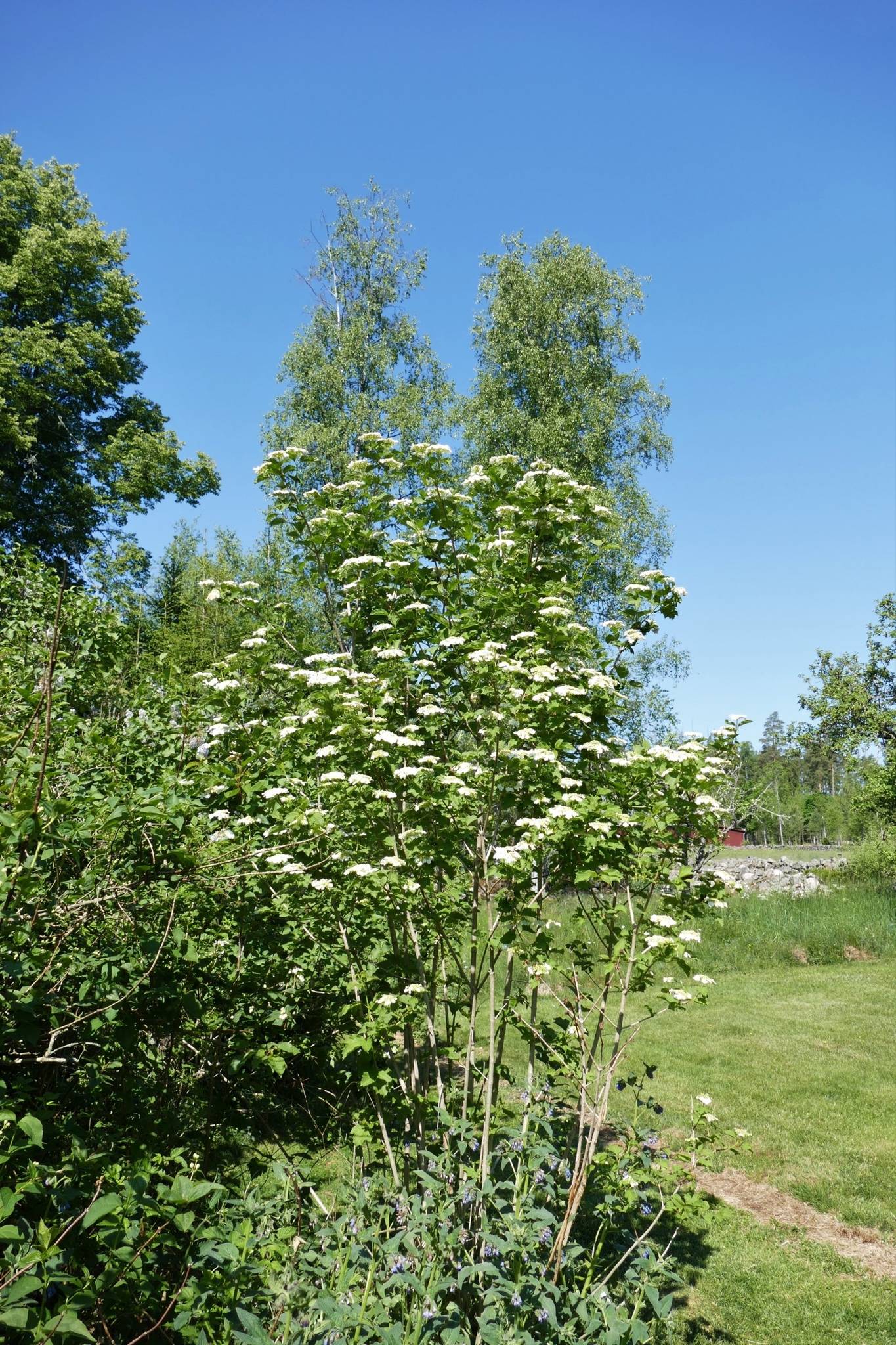 4 rum Villa på Mo Glastorpet 2 Värends-Nöbbele Växjö kommun - bild 53