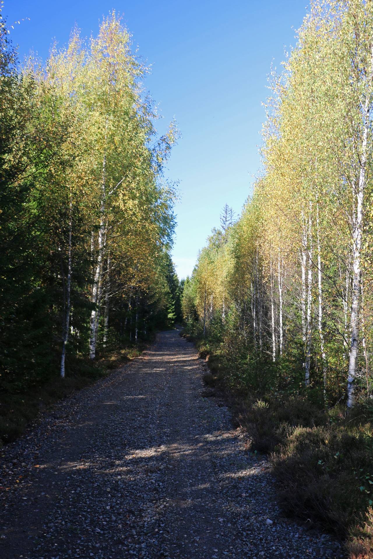 Gård med jordbruk på Älmekulla Ydre kommun - bild 19
