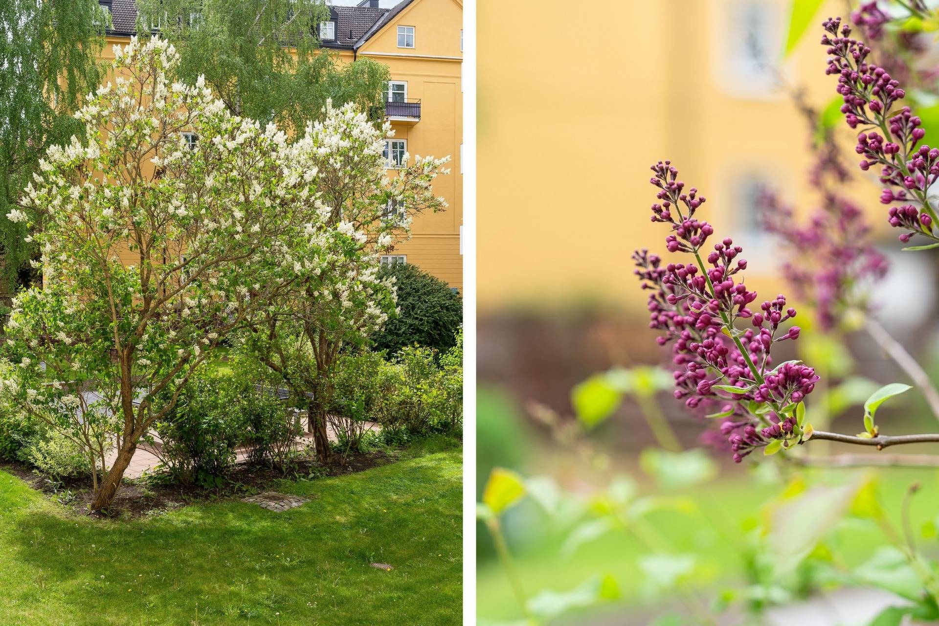 2 rum Lägenhet på Sturegatan 10 Vasastaden Linköpings kommun - bild 19