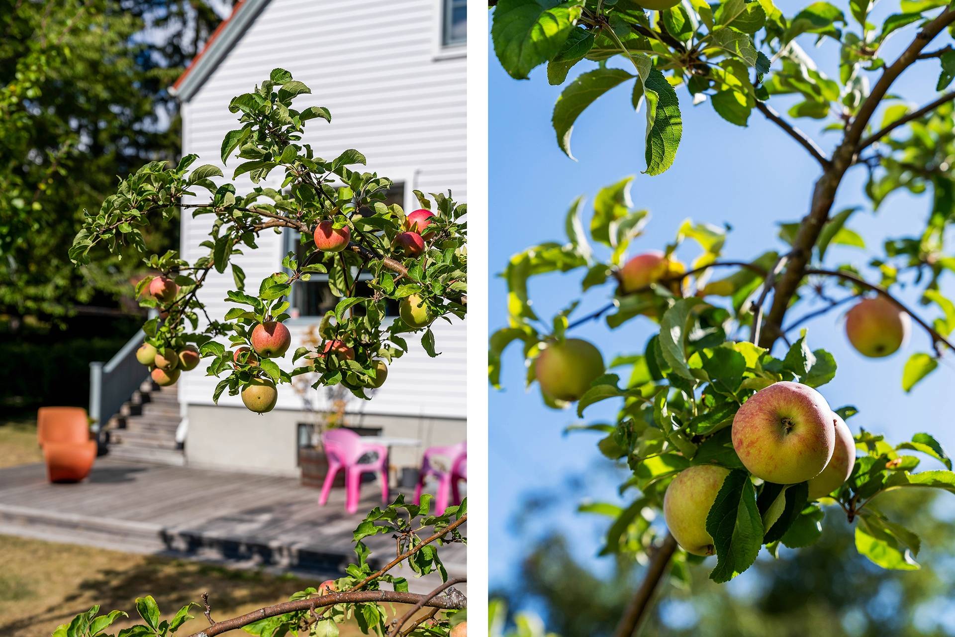 9 rum Villa på Gamla Tyresövägen 315 Enskede/Kärringstan Stockholms kommun - bild 54