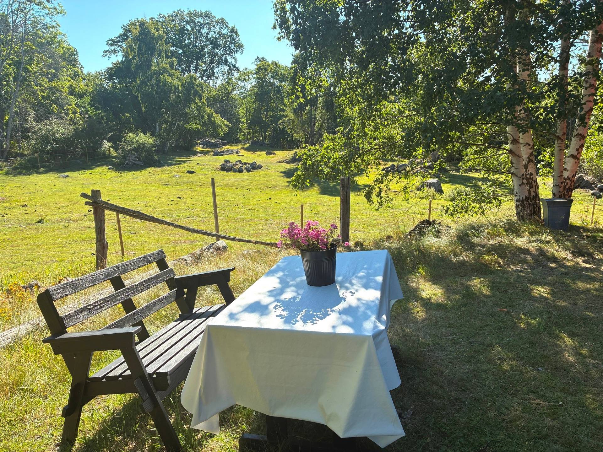 Gård med skogsbruk på Domänvägen 2 Saltvik Oskarshamns kommun - bild 16