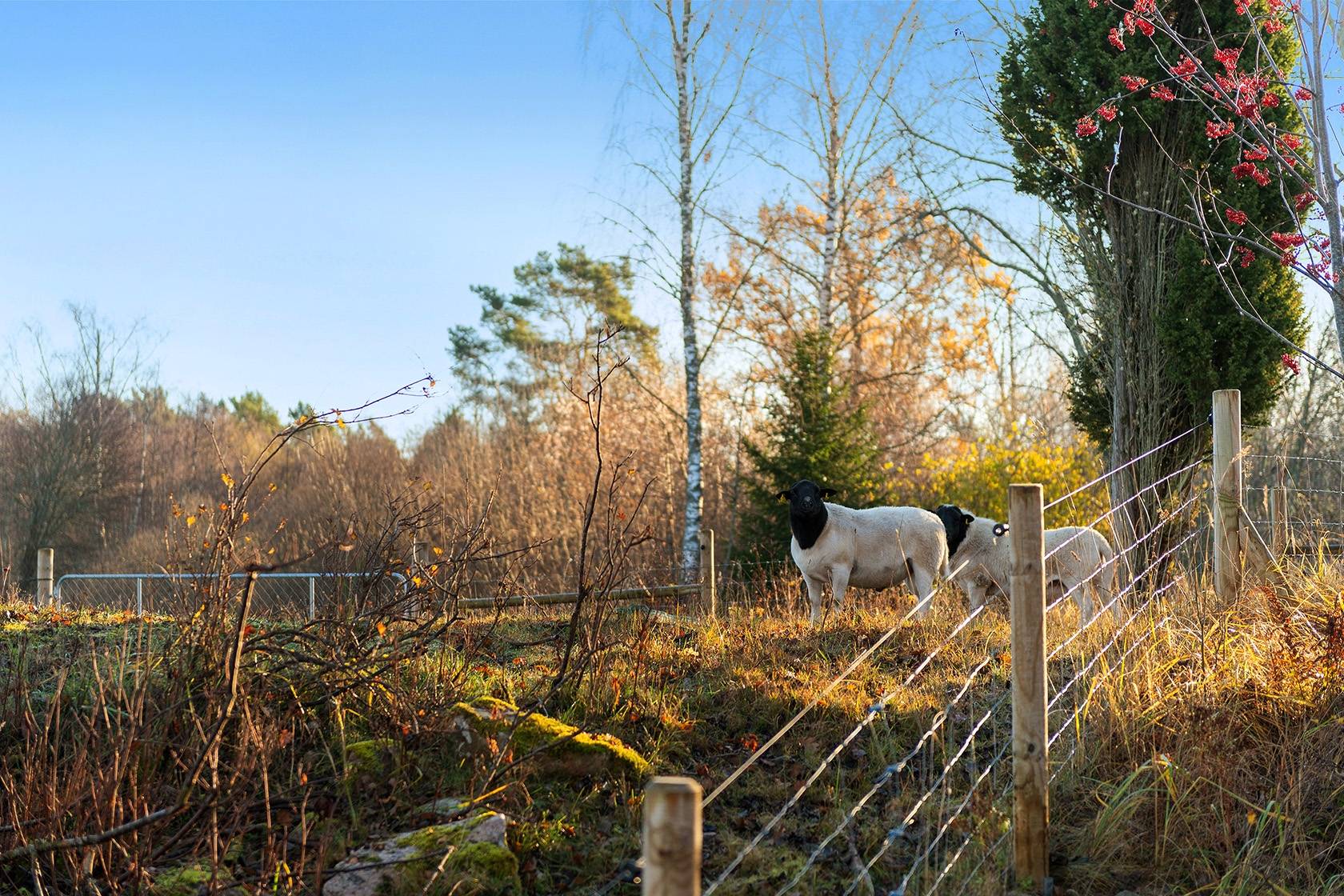 4 rum Vinterbonat fritidshus på Bastuvägen 12 Rådmansö - Västanvik Norrtälje kommun - bild 20