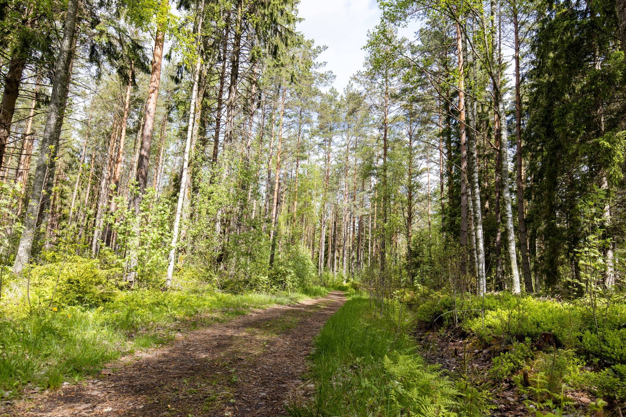 3 rum Villa på Barrskogsvägen 13 Runnaby Örebro kommun - bild 39