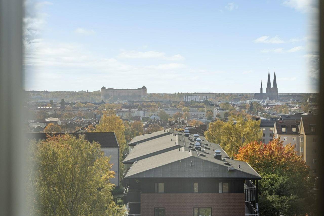 Uppsala, Uppsala kommun