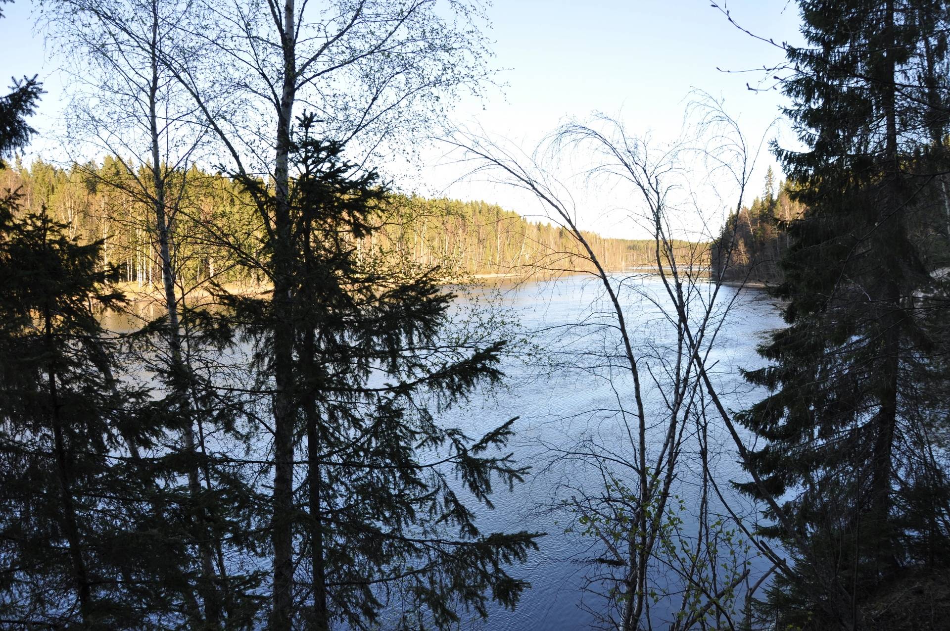 Gård med skogsbruk på Mindre skogsfastighet intill Piteälven Långnäs Piteå kommun - bild 6