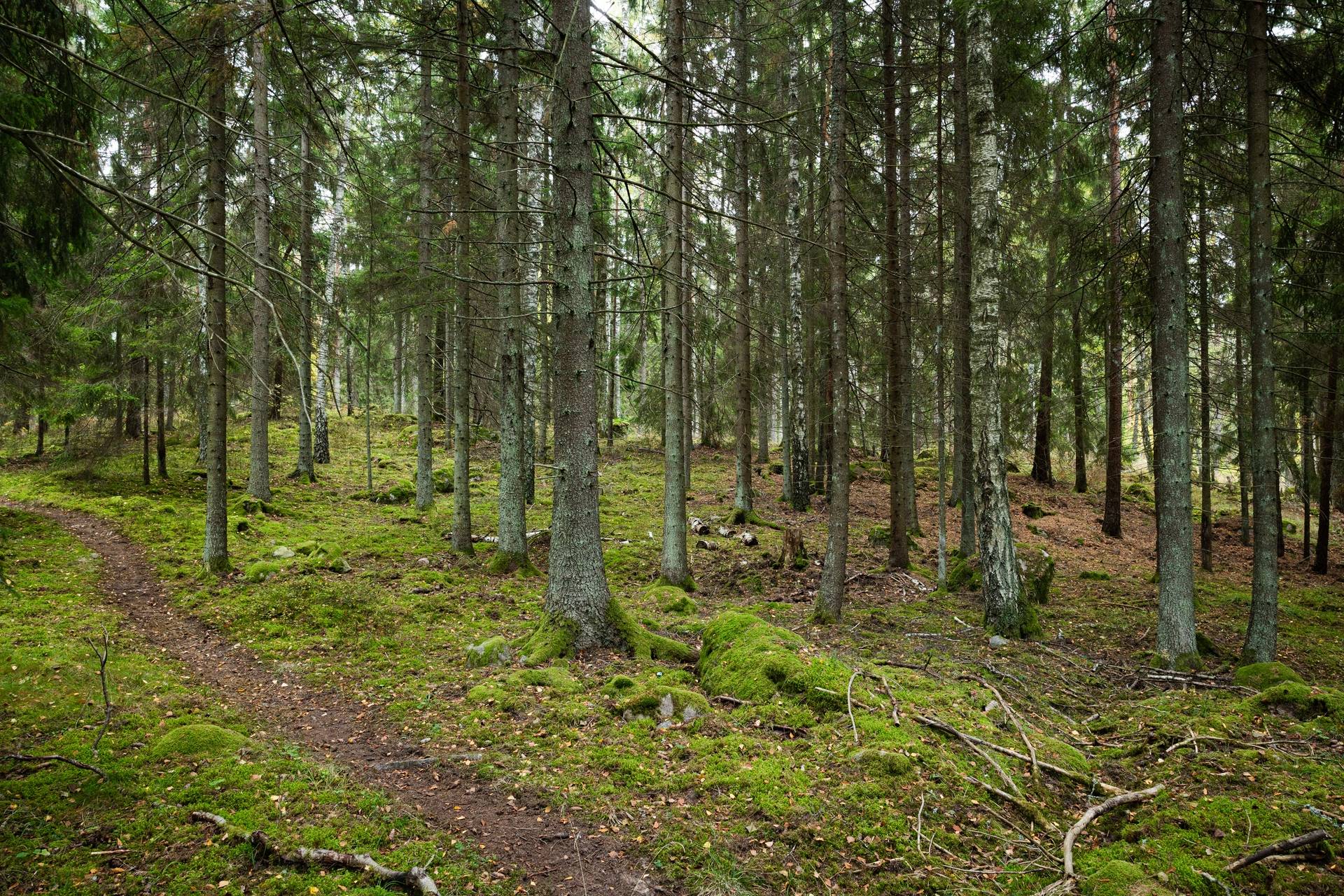 5 rum Gård/skog på Mellringe gård 1 Läggesta/Hedlandet Mariefred Strängnäs kommun - bild 22