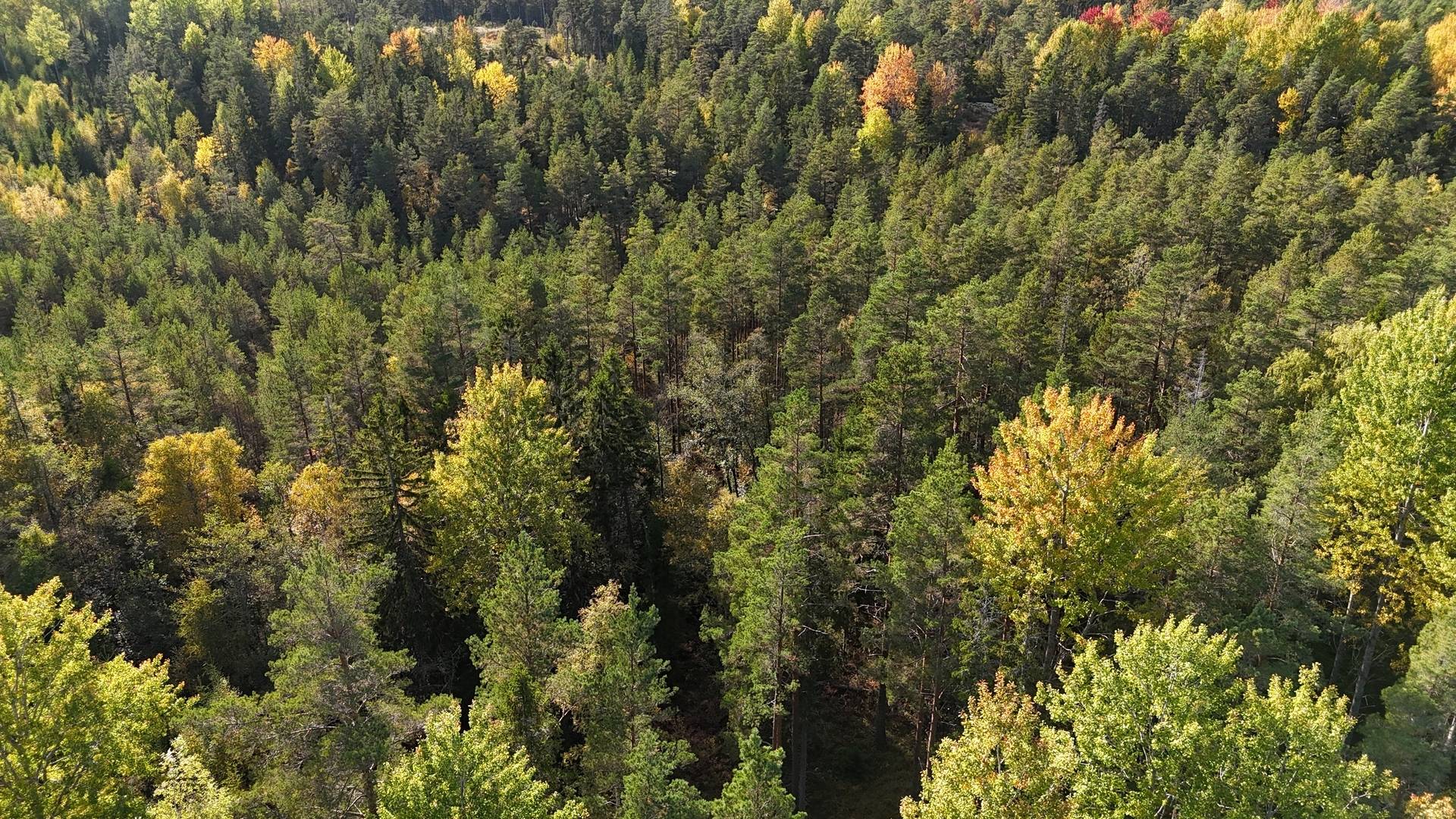 Gård/skog på Vamsta, intill naturreservatet Östhammars kommun - bild 1