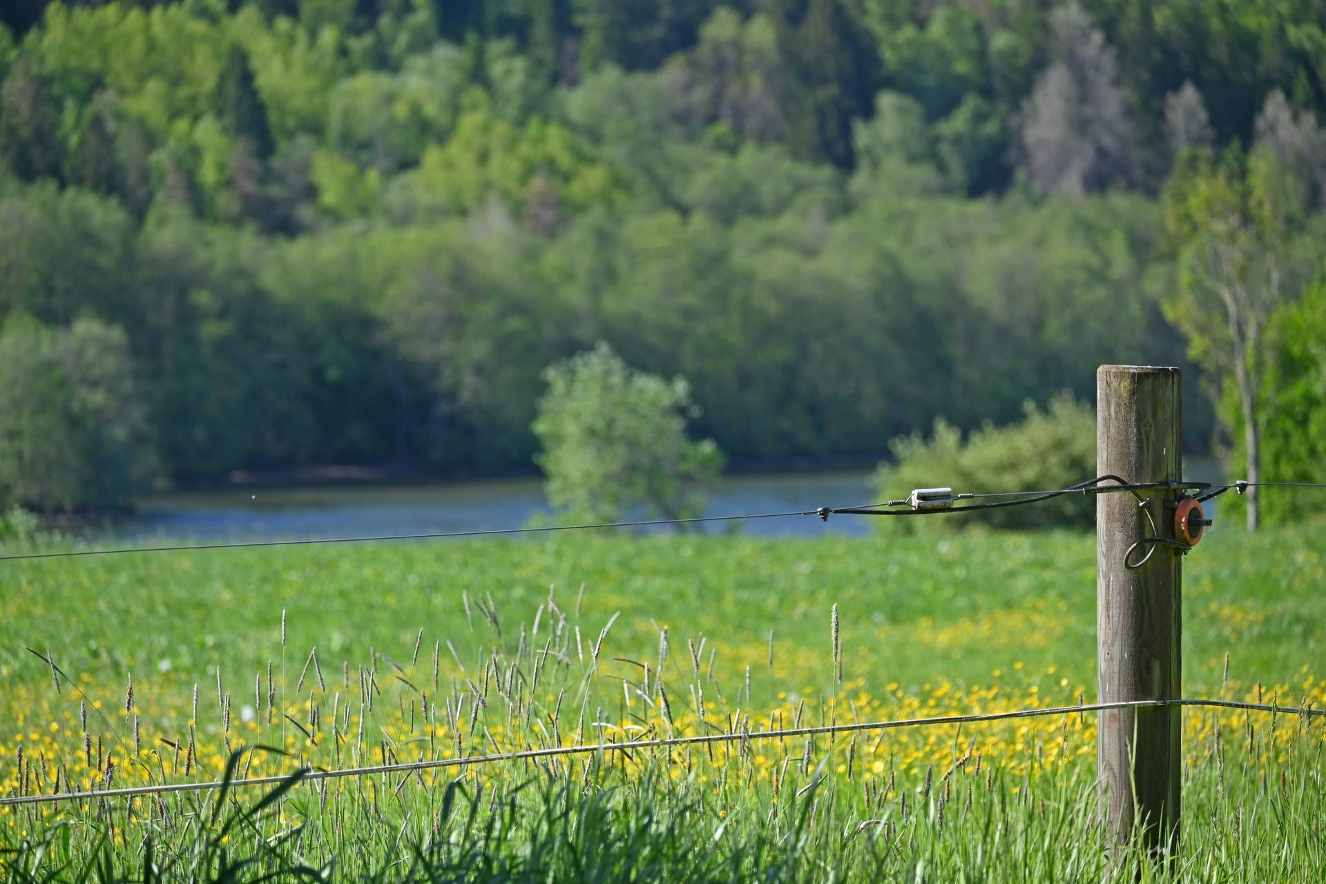 Gård med skogsbruk på Stenarsröd Lilla Edets kommun - bild 4