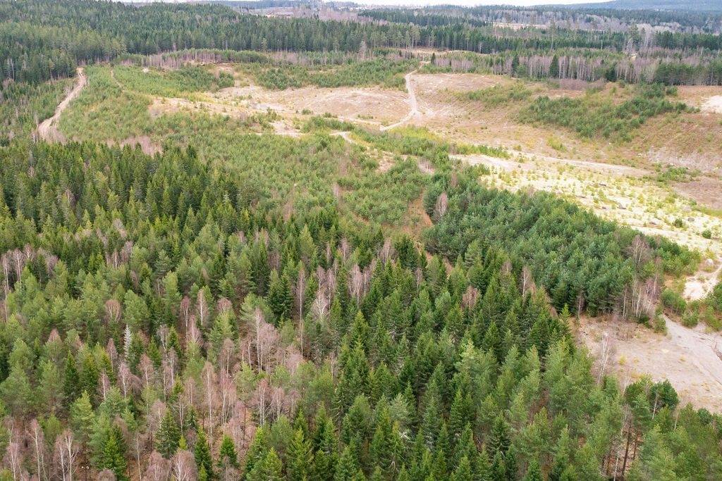 5 rum Gård/skog på Sjogerdala Sjögård Velinga Tidaholms kommun - bild 8