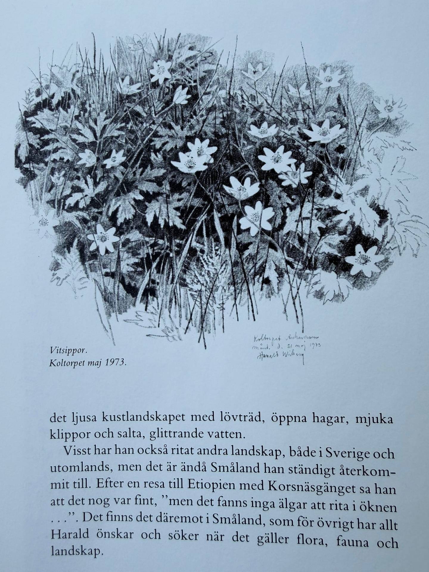 4 rum Gård/skog på Stormandebo Koltorp Västervik/Vimmerby Västerviks kommun - bild 62