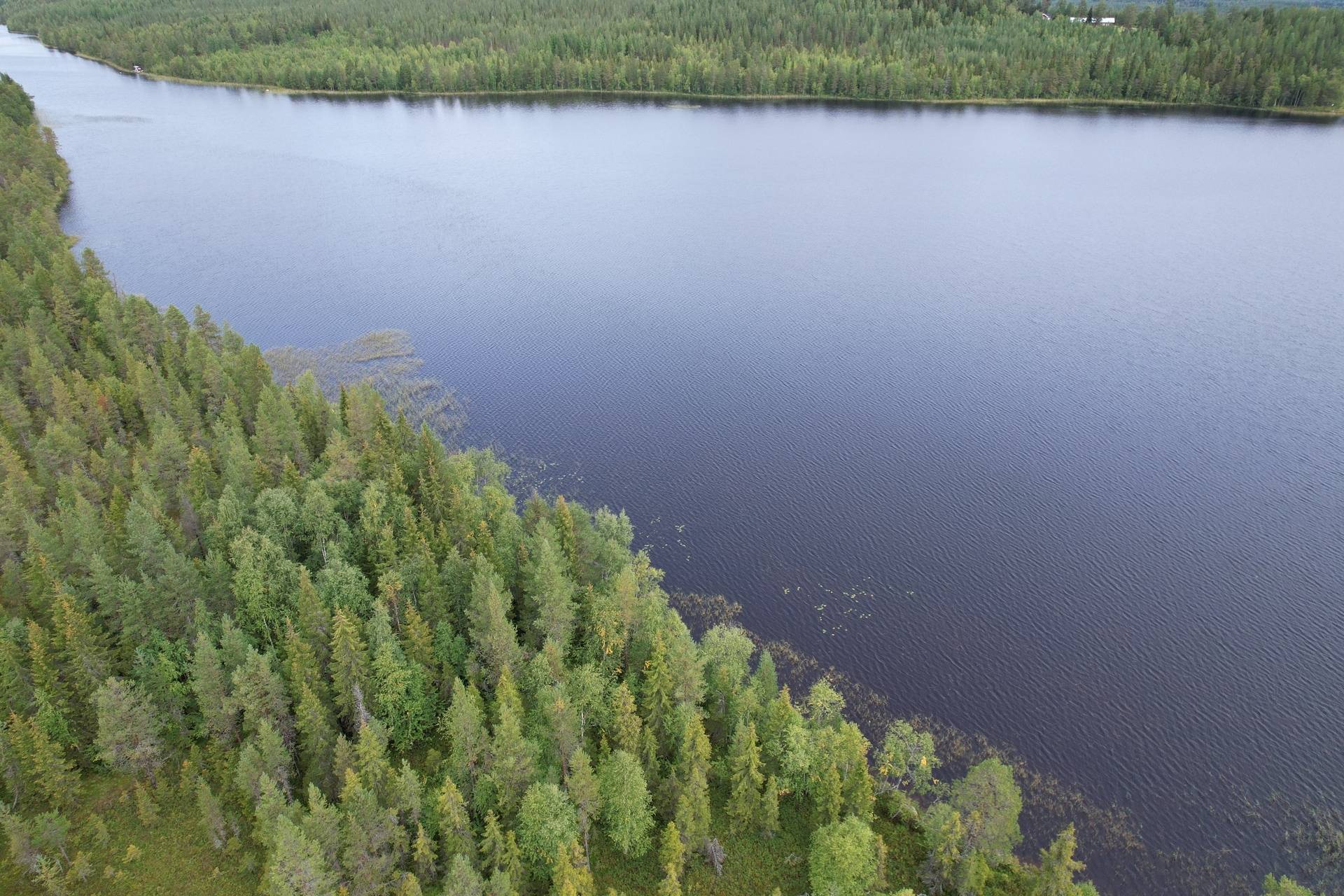 Gård med skogsbruk på NORSJÖ KATTISBERG 1:21 Norsjö Norsjö kommun - bild 27