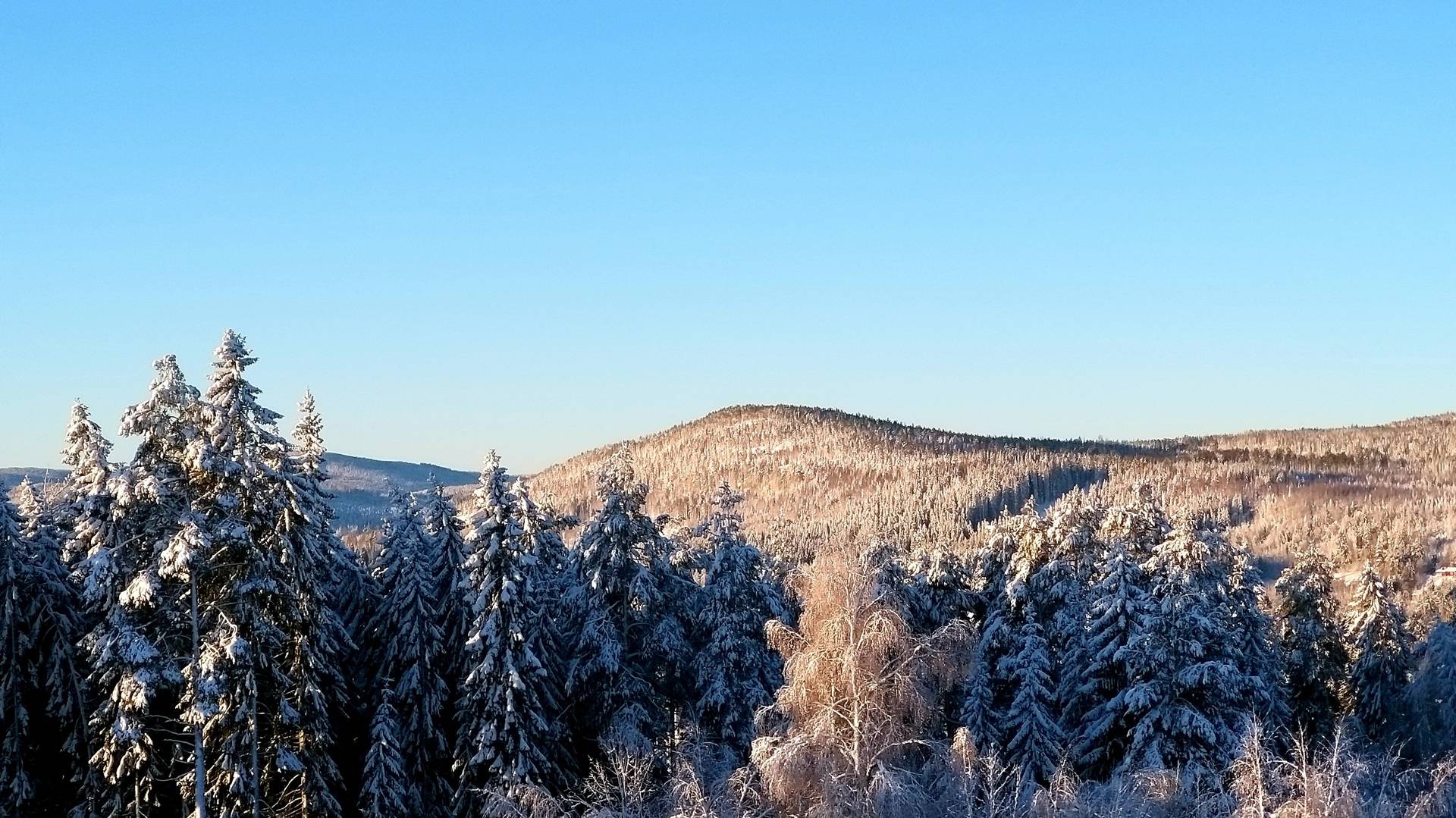 2 rum Lägenhet på Lysekilsvägen 55 Sundsvall Sundsvalls kommun - bild 5