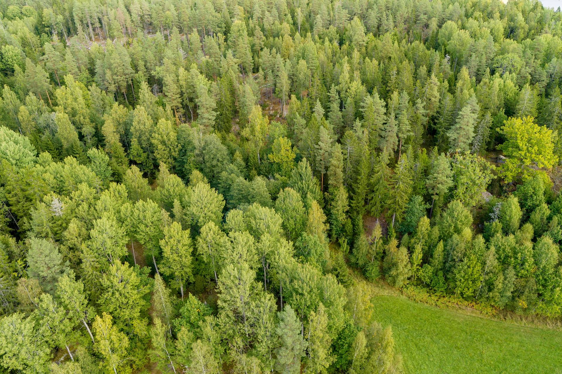 190 m² Gård med jordbruk på Djupviksängen Askersunds kommun - bild 21