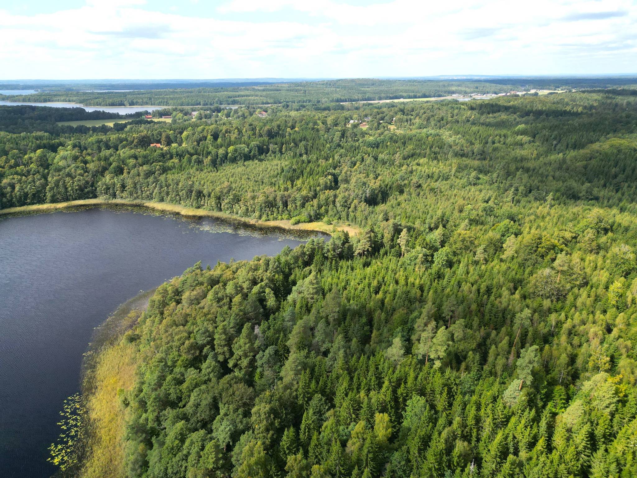 Gård med skogsbruk på Ed Nissatorp 1 Värnamo kommun - bild 6