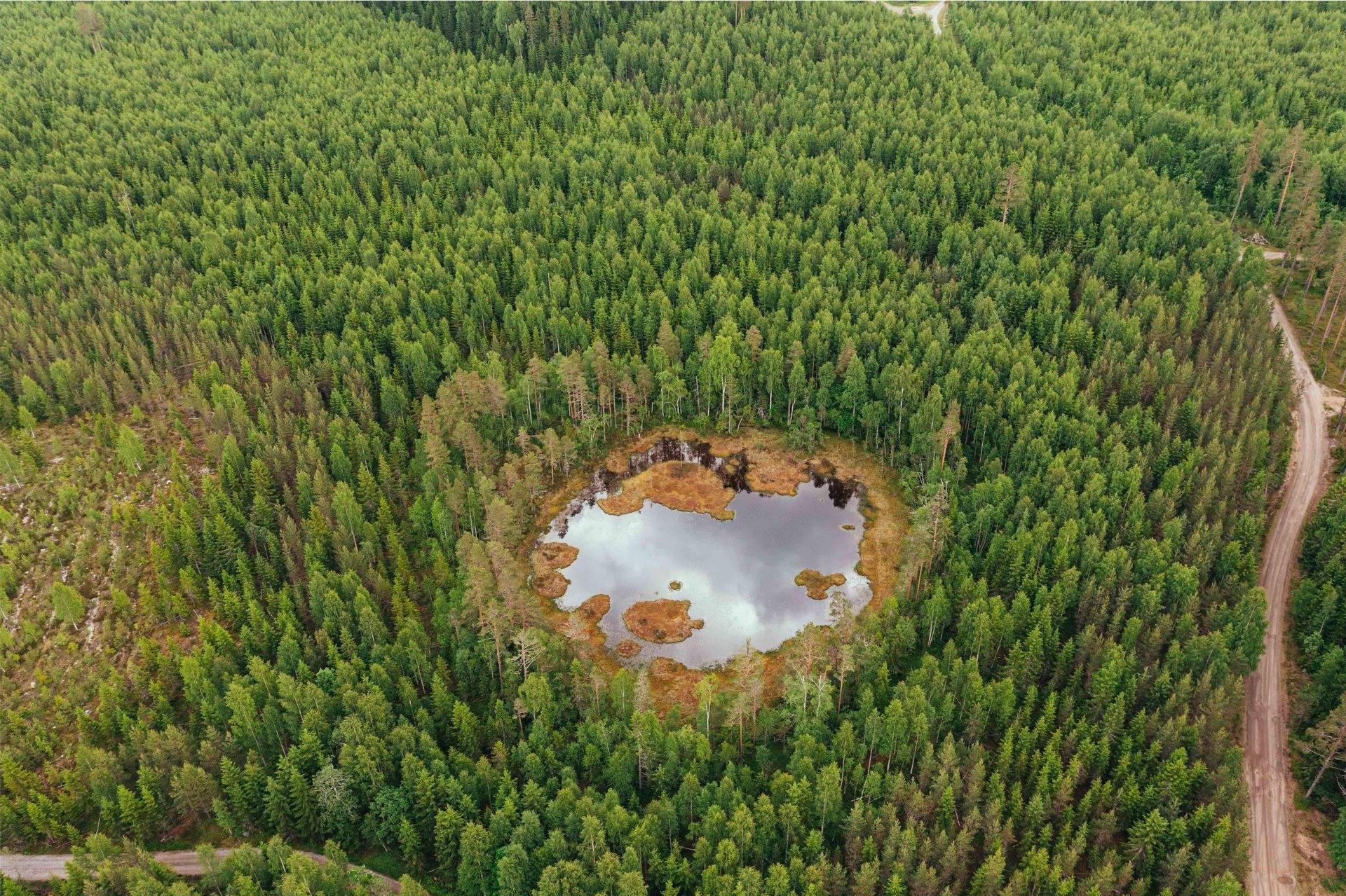 Gård med skogsbruk på SUNDSVALL HARV 14:1 och NORRBÖLE 1:2 Sundsvalls kommun - bild 13
