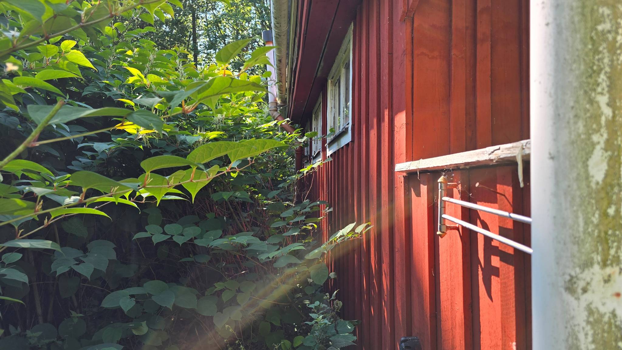 3 rum Fritidshus på Nädhult 409 Hylte kommun - bild 15