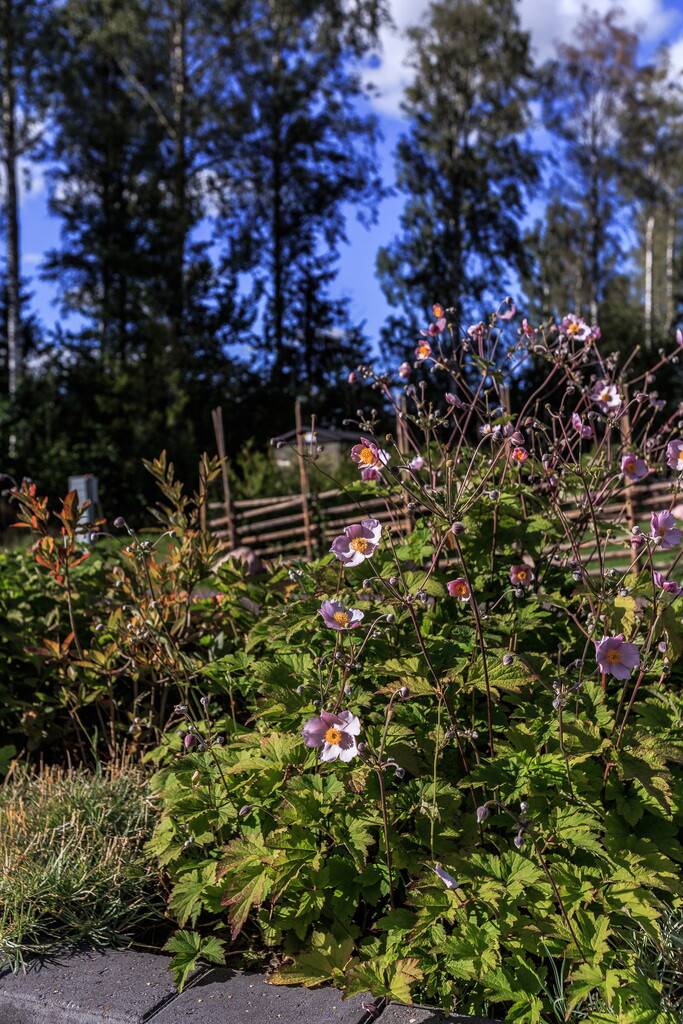 8 rum Villa på Sjöglimten 1 Kränge Linköpings kommun - bild 42