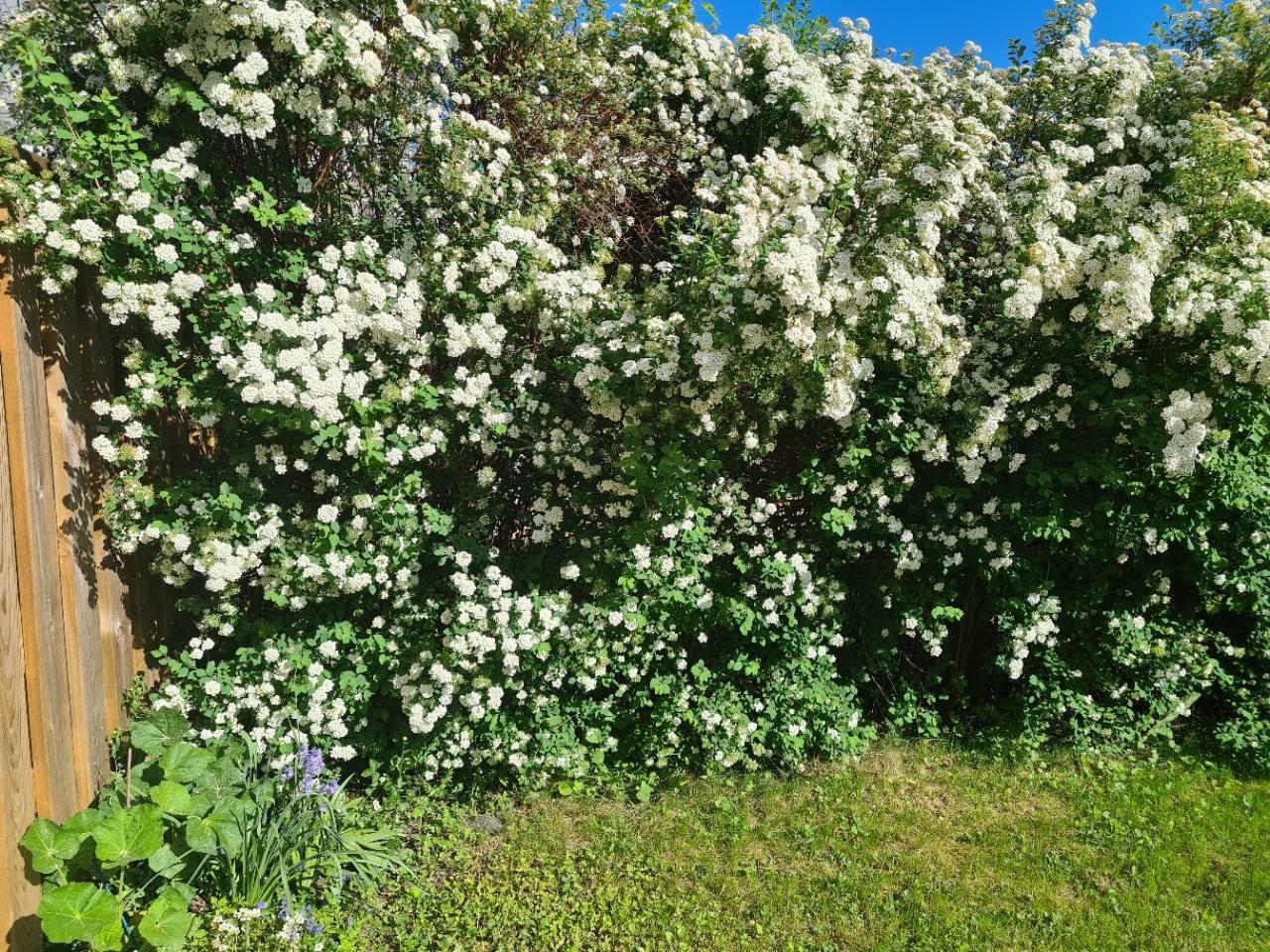 5 rum Kedjehus på Silkesvägen 12 Brunna - Kungsängen Upplands-Bro kommun - bild 27