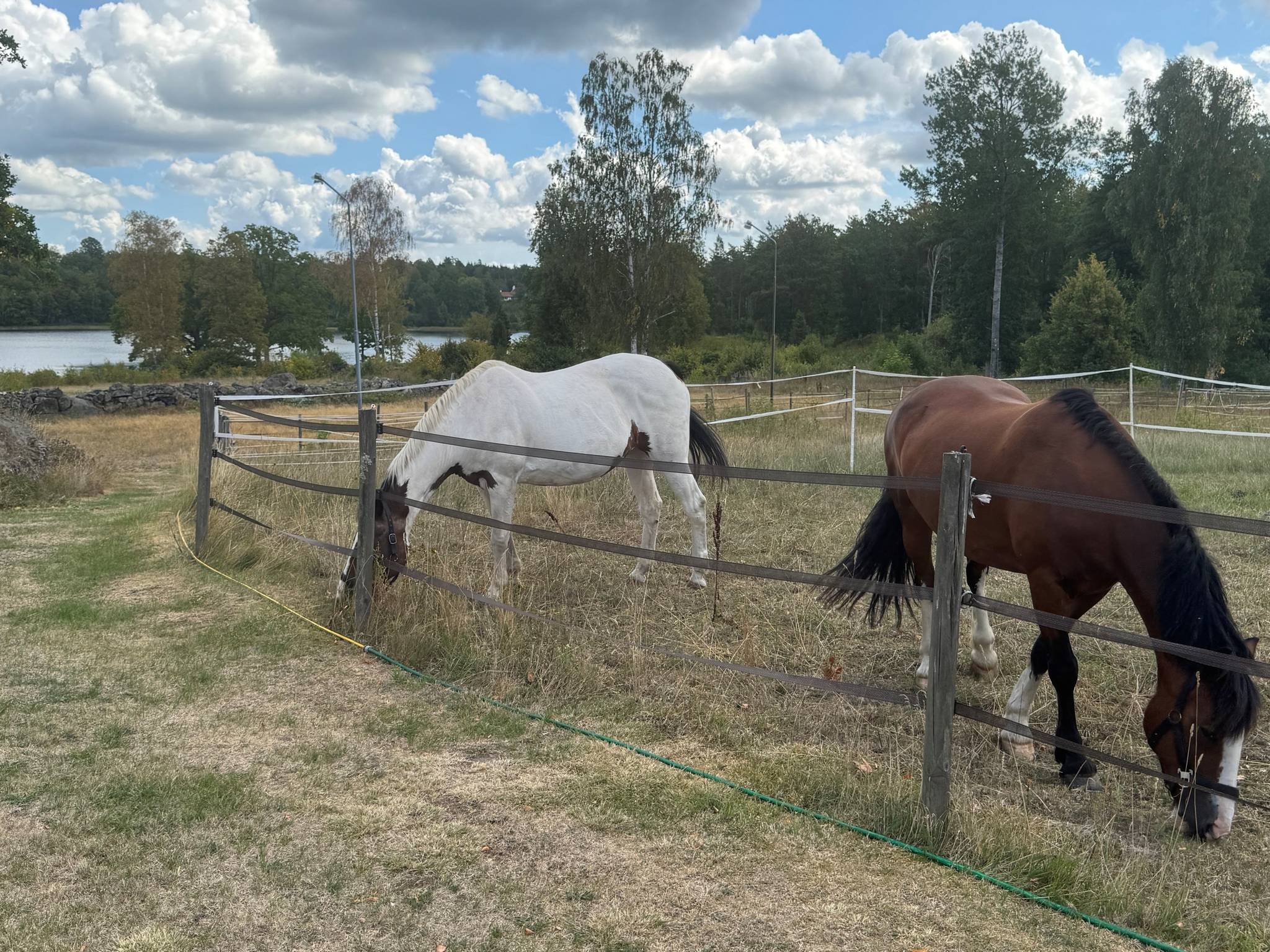 4 rum Gård utan jordbruk på Staffansbygd 110 BLEKINGE SVERIGES TRÄDGÅRD KARLSKRONA Karlskrona kommun - bild 57