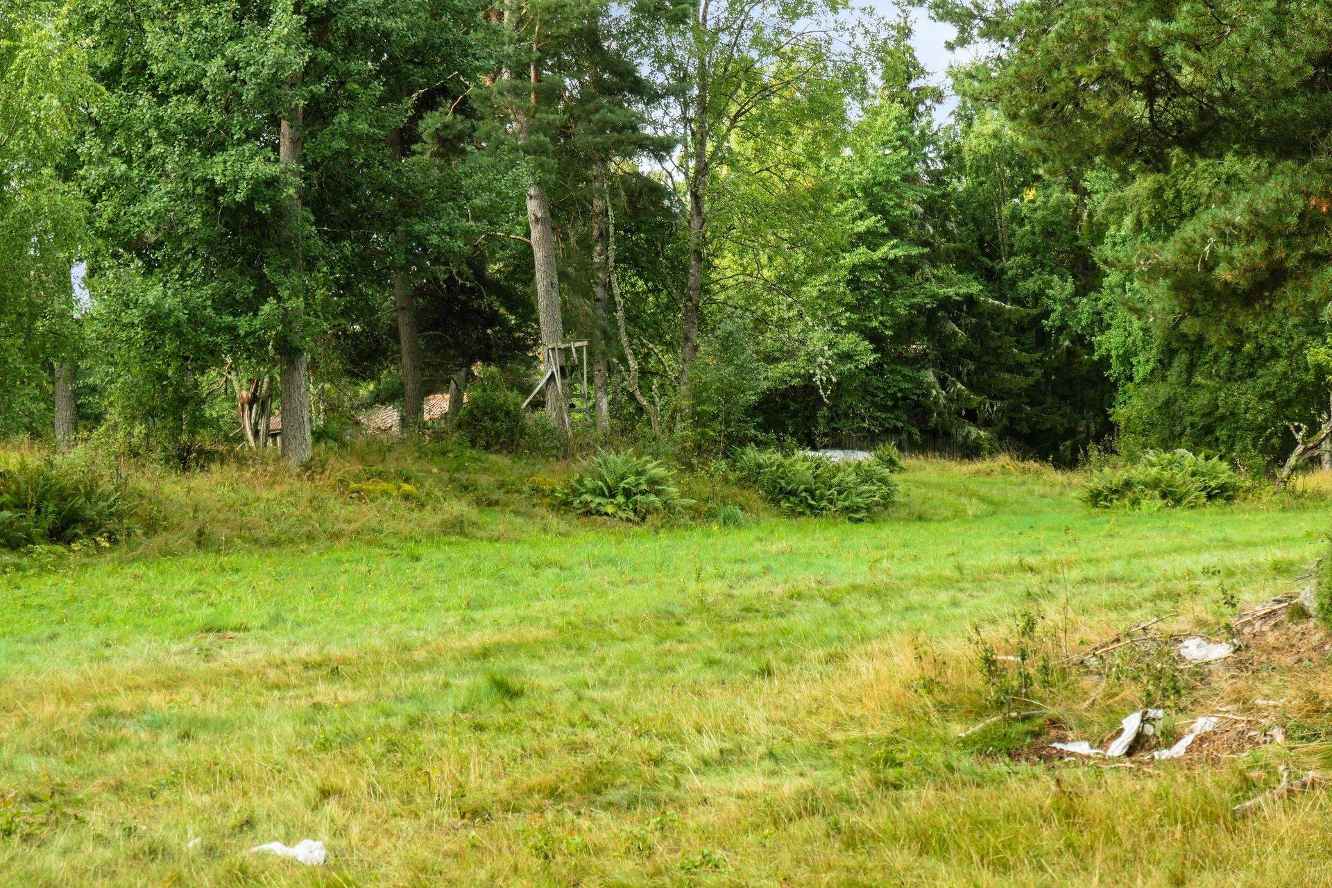Gård/skog på Galneryd 1 Hjo kommun - bild 2