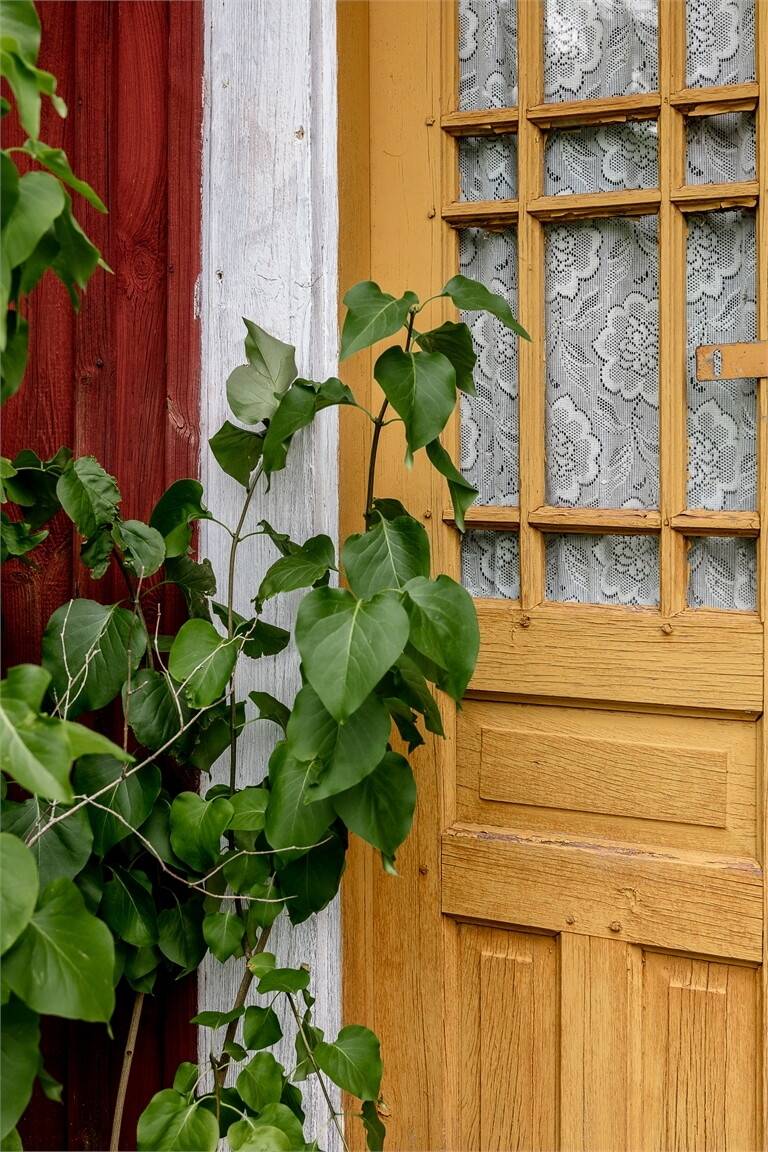 Gård/skog på Tegnaby Rosenberg Växjö Landsort Växjö kommun - bild 5