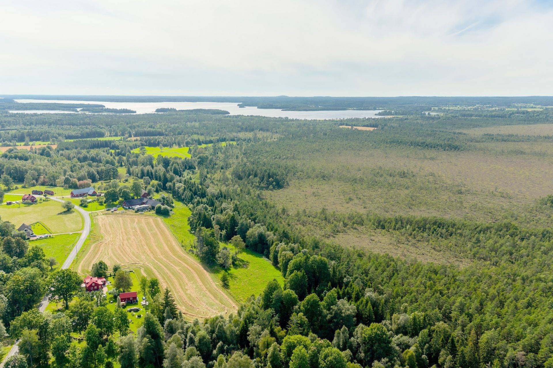 Gård med skogsbruk på Hjälmaryd Värnamo Värnamo kommun - bild 2