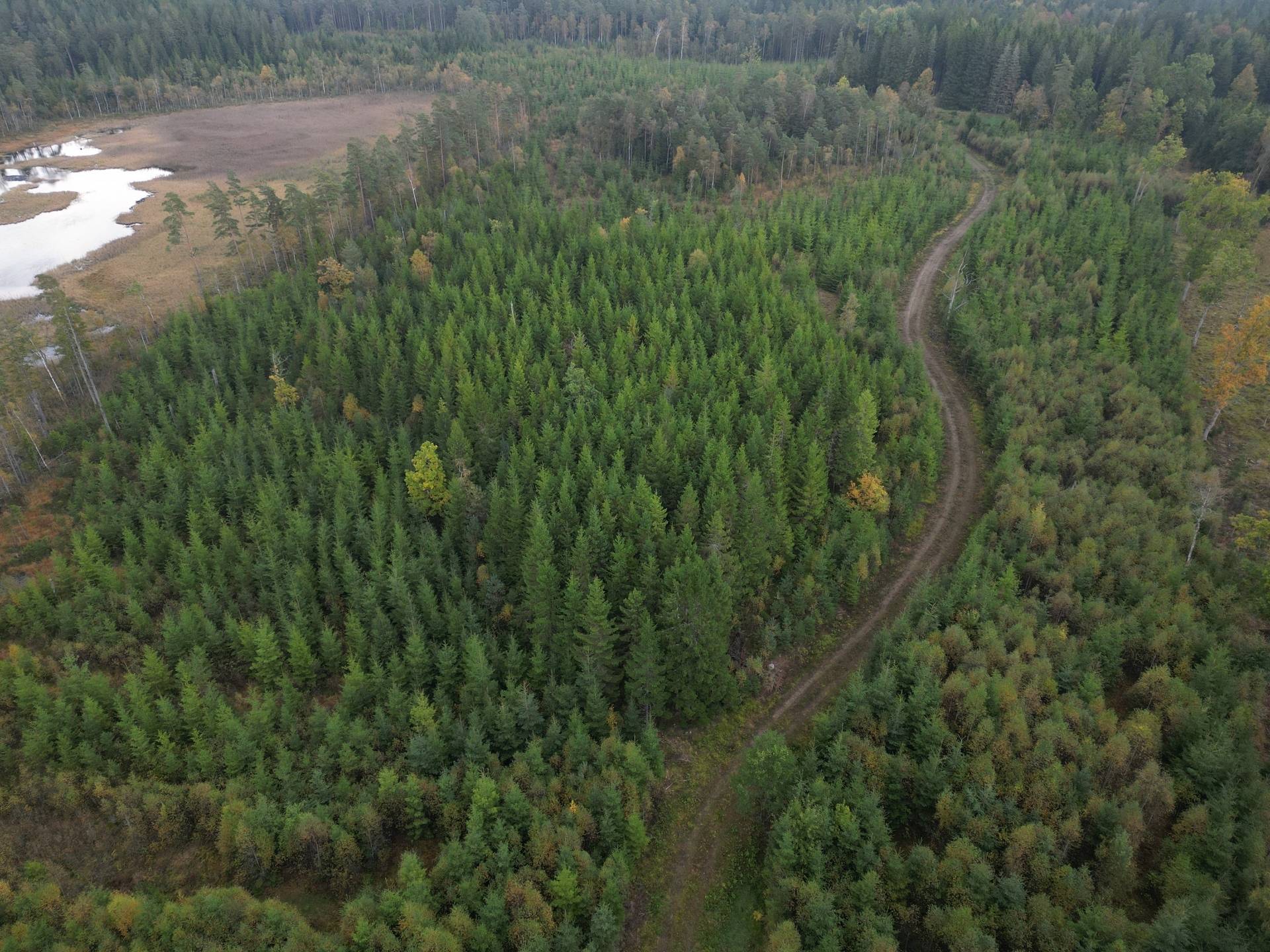 Gård med jordbruk på Yttrebo 107 Hylte kommun - bild 24