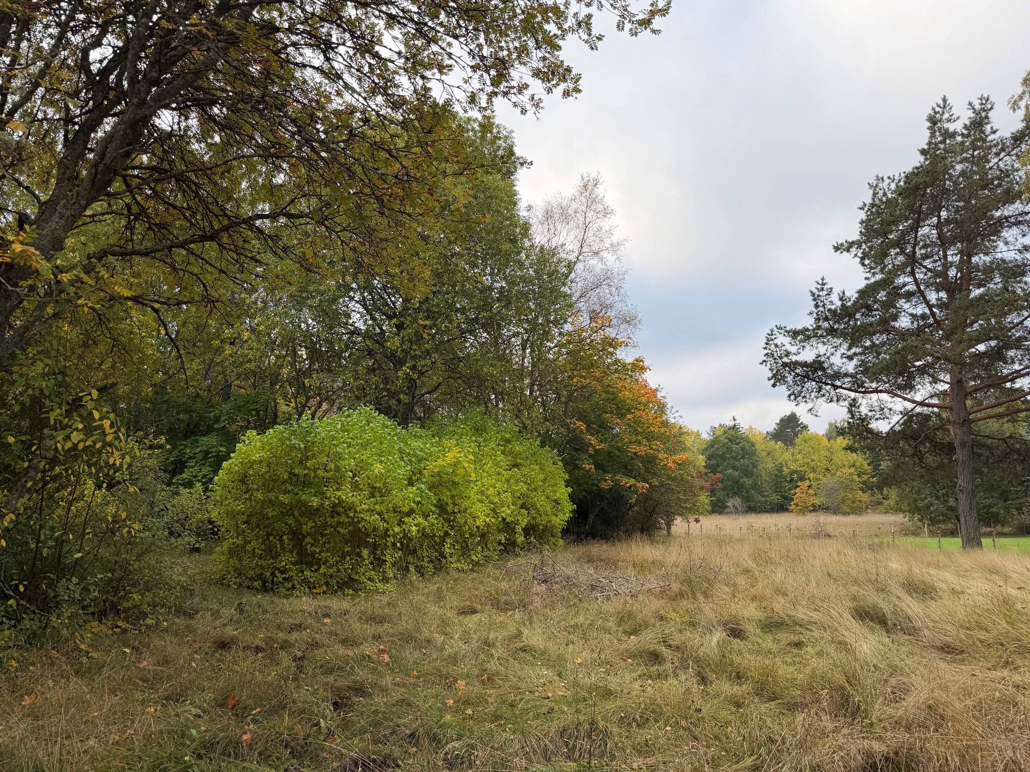 Fritidshus på Björkkullavägen 9B Väddöviken Norrtälje kommun - bild 22