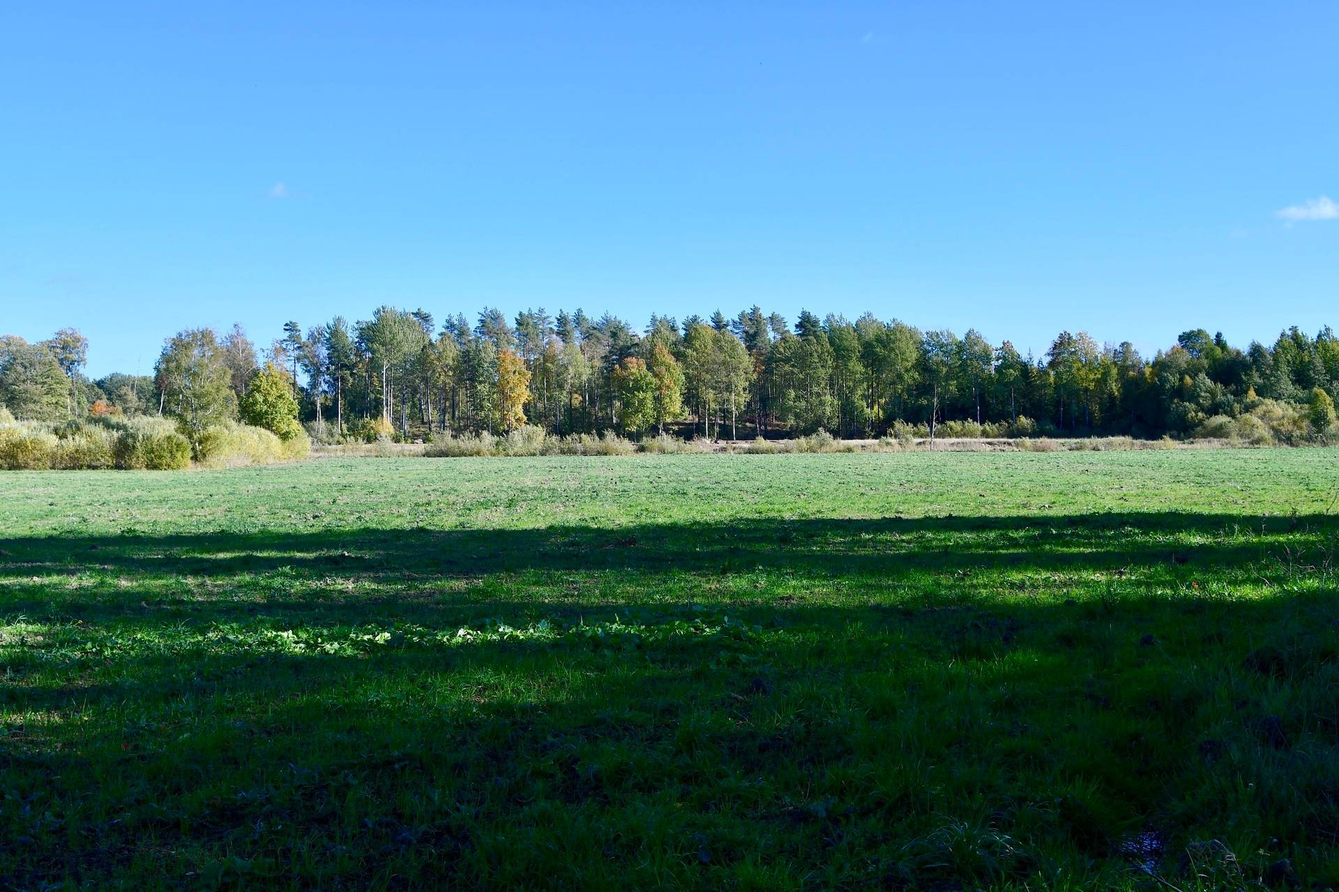 Gård med skogsbruk Binneberg Skövde kommun - bild 29