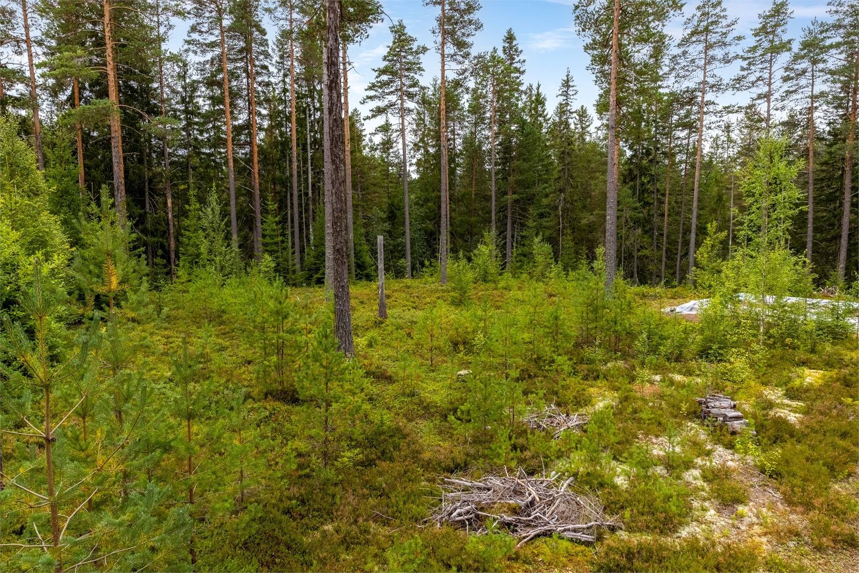 Tomt på Tomt i Läde Läde Mora kommun - bild 6