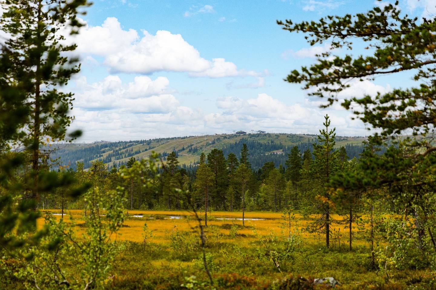 4 rum Vinterbonat fritidshus på Kremlavägen 25 Gubbmyren Malung-Sälens kommun - bild 5