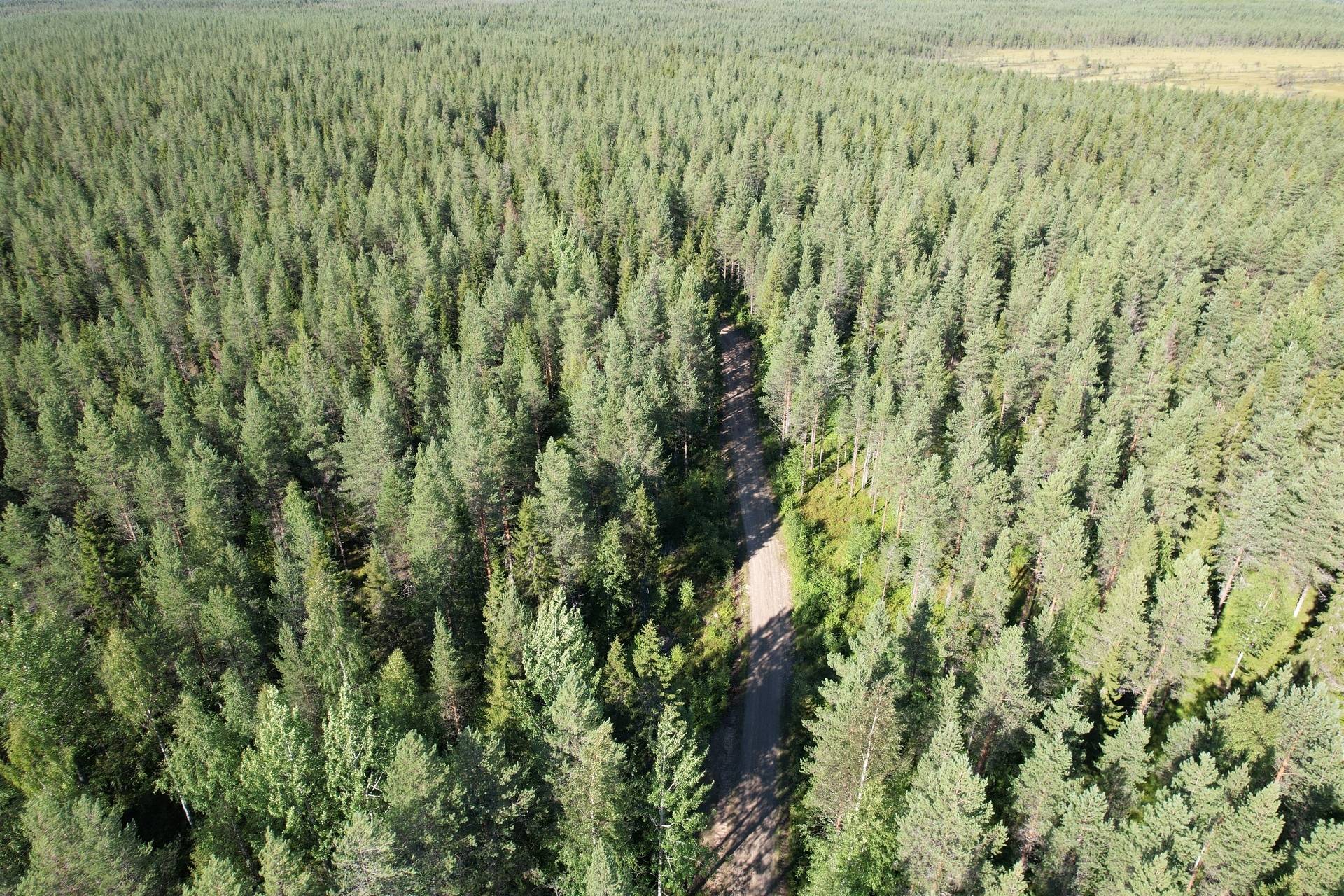 Gård/skog på Nedre Vojakkala Haparanda kommun - bild 4
