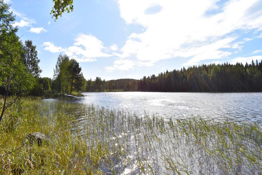 2 rum Fritidsboende på Kvarnträsk 18 Kvarnträsk Vindelns kommun - bild 35