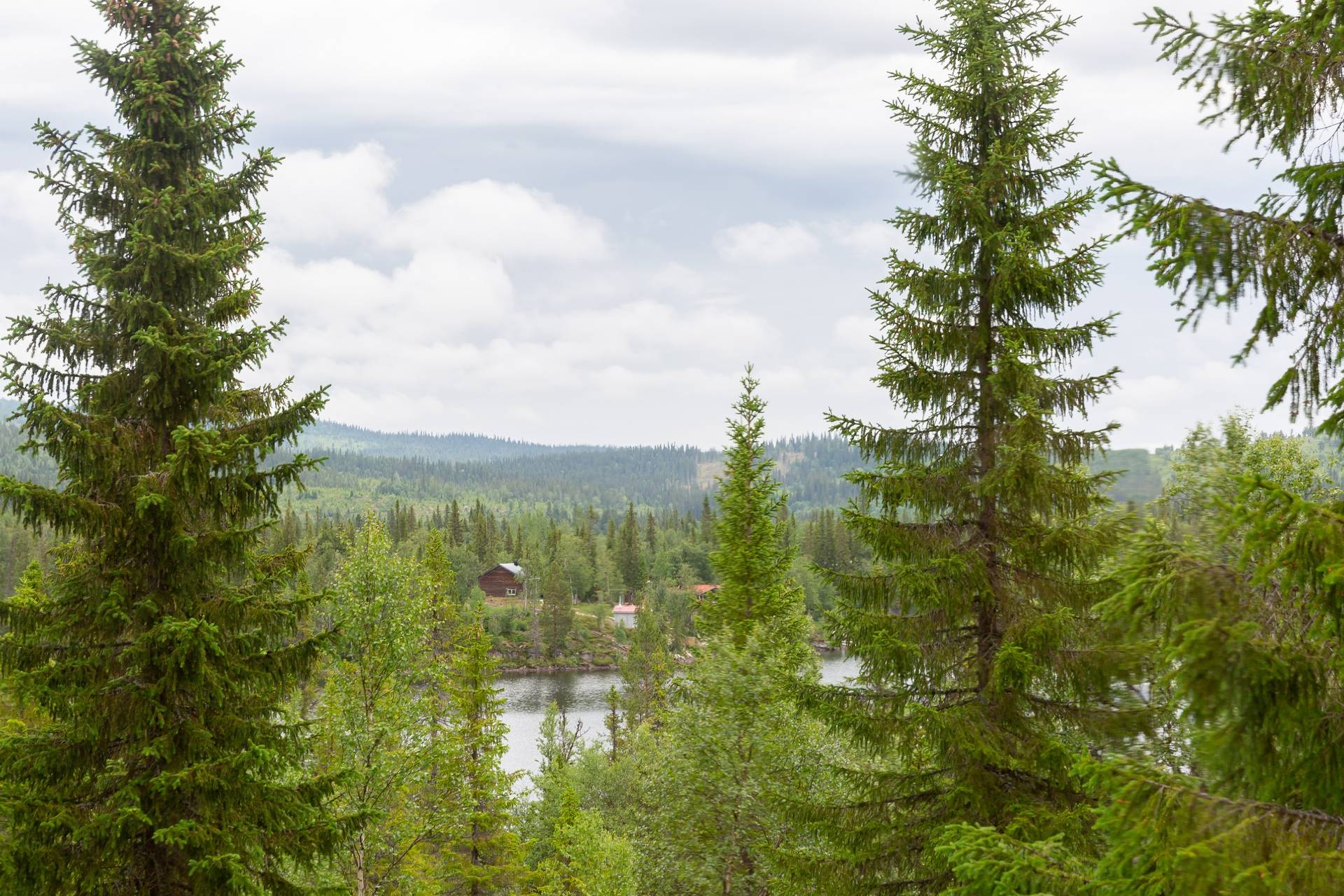 3 rum Villa på Kall Bergsjön 60 Järpen Åre kommun - bild 24