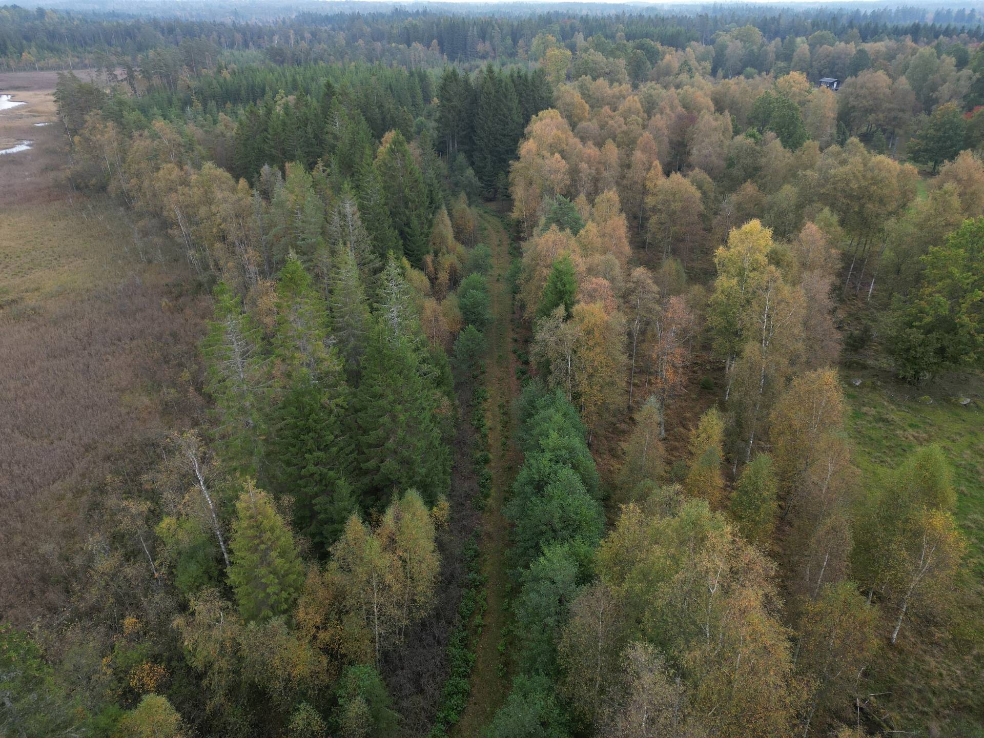 Gård med jordbruk på Yttrebo 107 Hylte kommun - bild 22