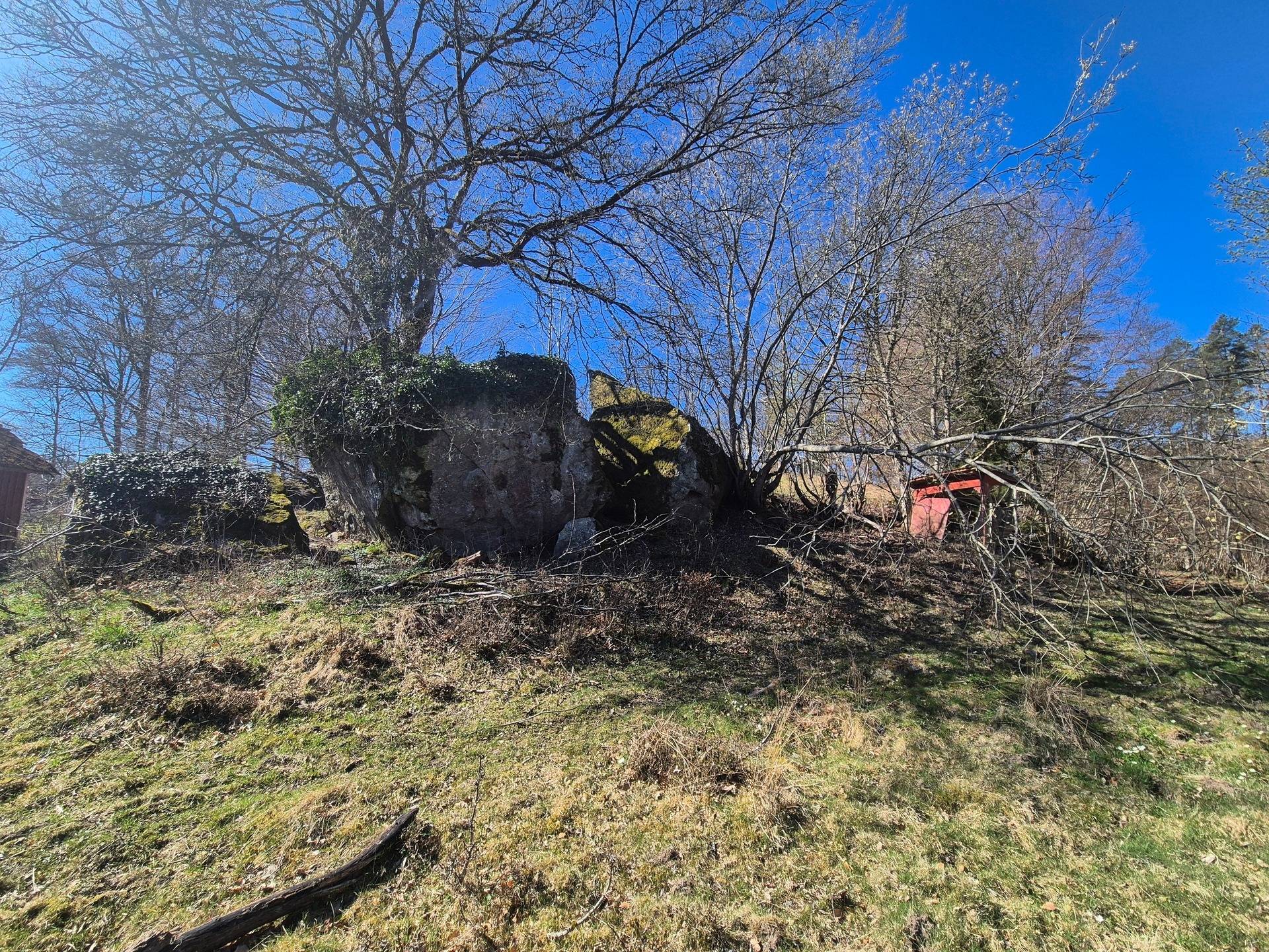 Gård/skog på Skärseröd 2253 Hässleholms kommun - bild 7