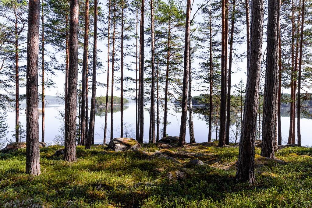 2 rum Fritidsboende på Rogsdammen 39 Gassarvet Falu kommun - bild 21