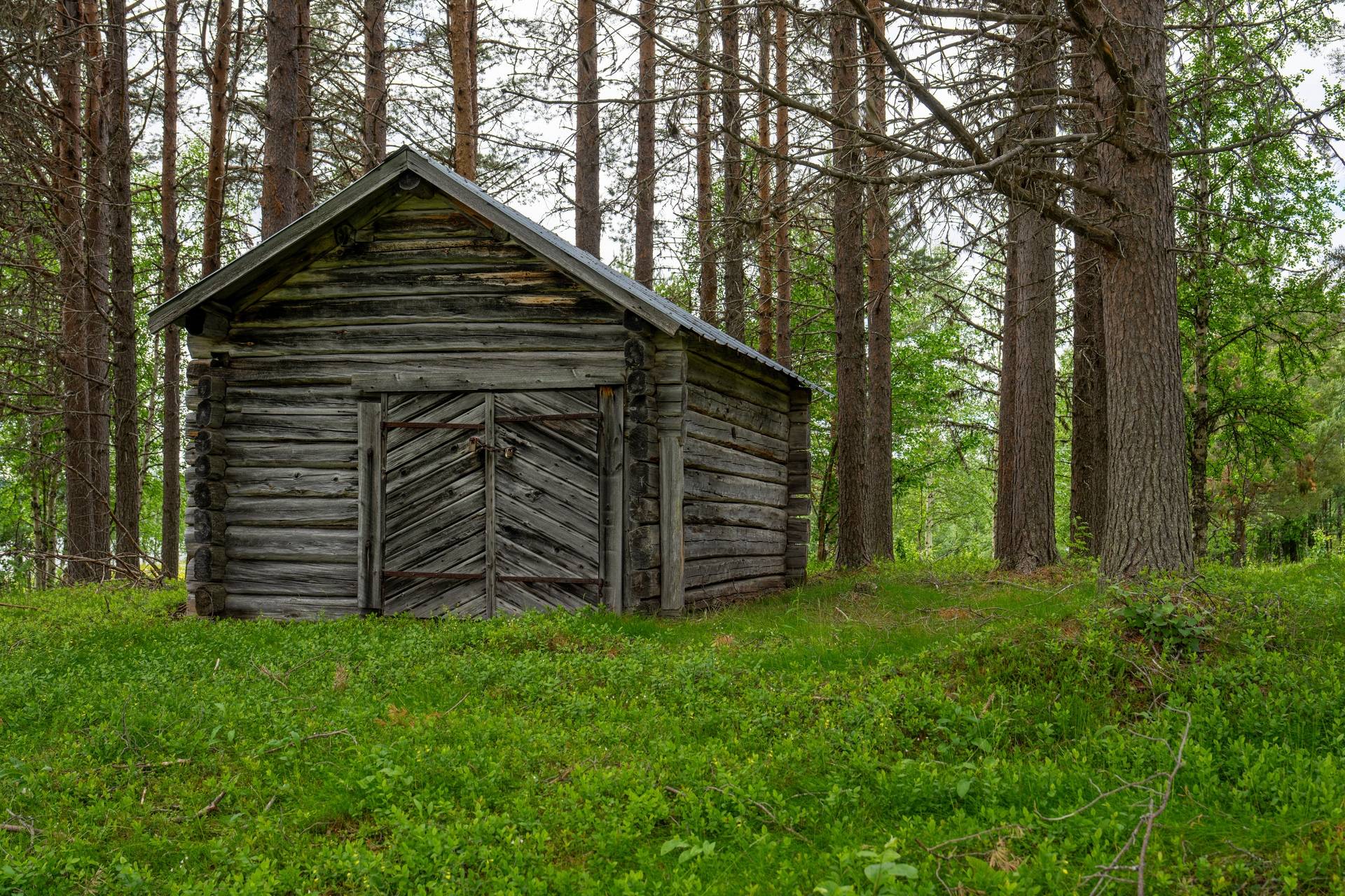 Gård/skog på Storholmen – En historisk ö i Storuman Storumans kommun - bild 14