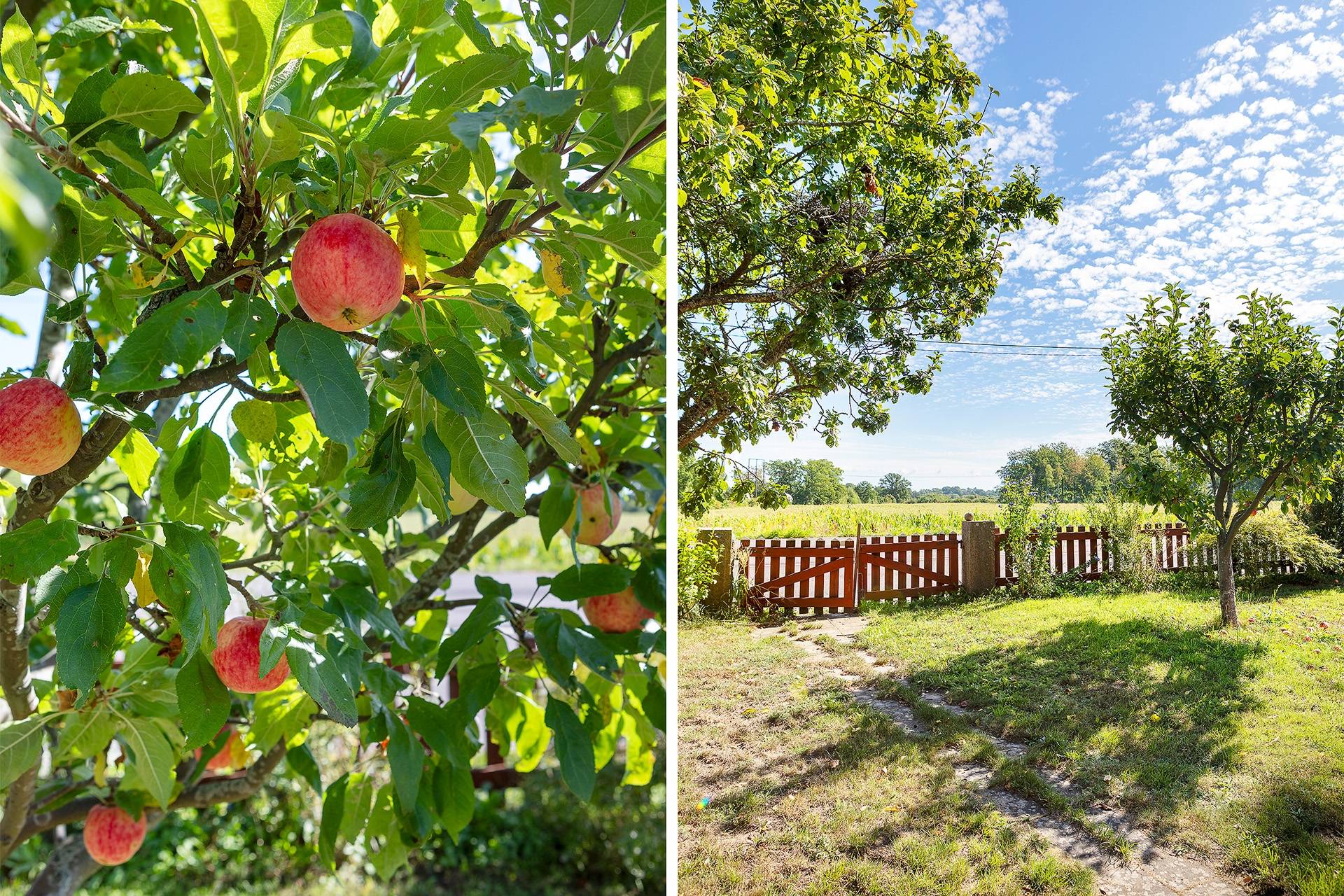 4 rum Villa på Påboda 117 Påboda Torsås kommun - bild 24