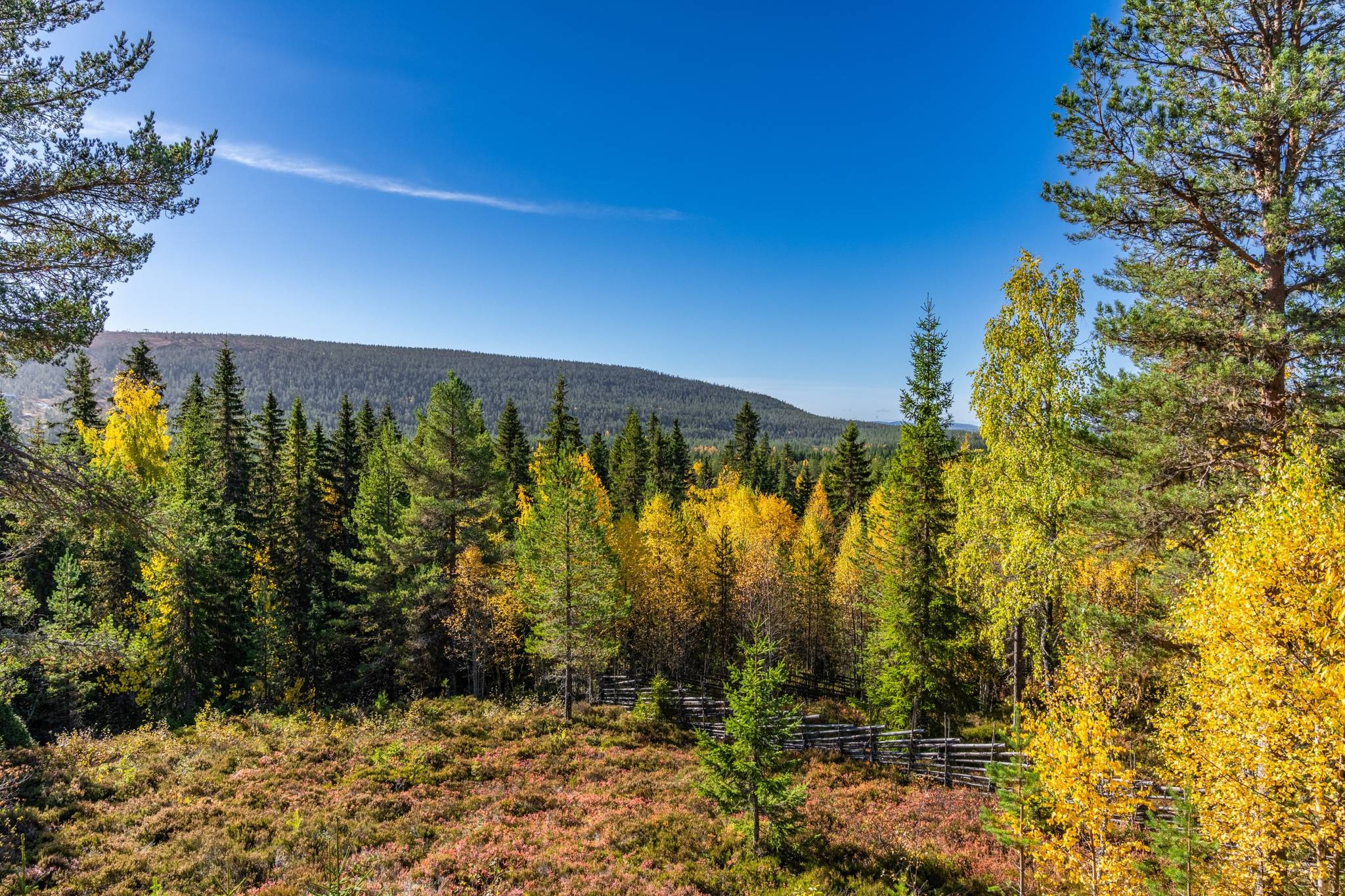 5 rum Fritidshus på Salbäcksvägen 28 Hundfjället, Sälen Malung-Sälens kommun - bild 10