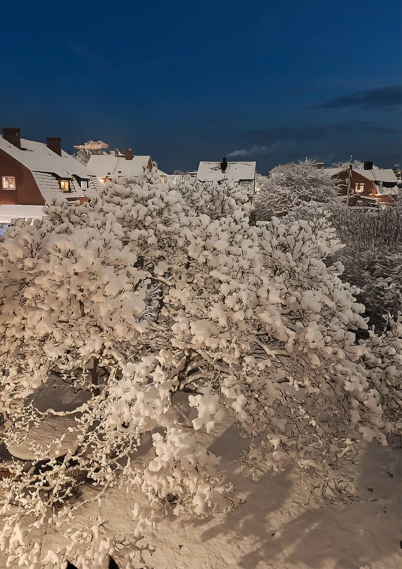 6 rum Villa på Wemmenhögsgatan 13 Centrum Trelleborgs kommun - bild 44