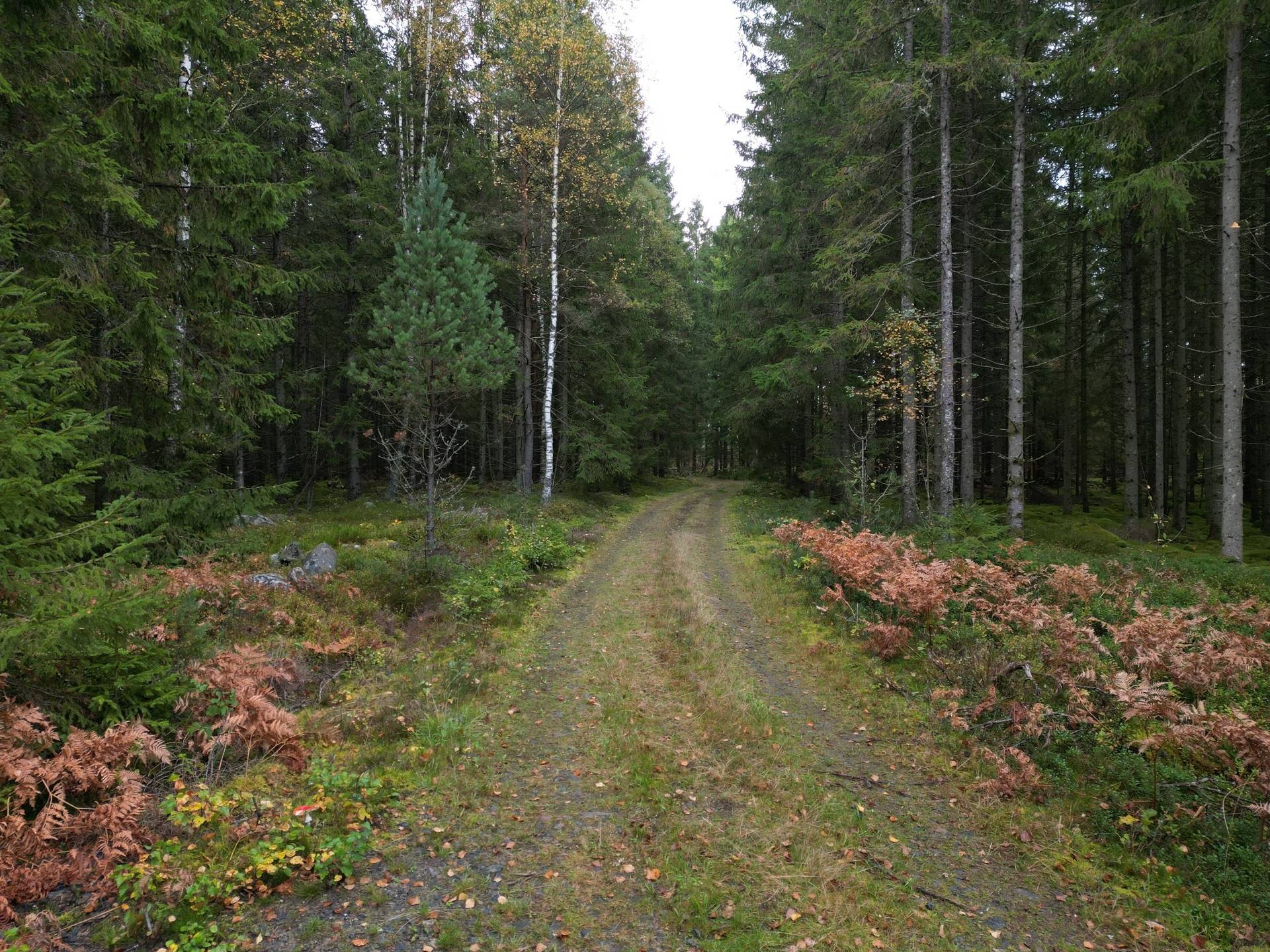 Gård med jordbruk på Yttrebo 107 Hylte kommun - bild 7