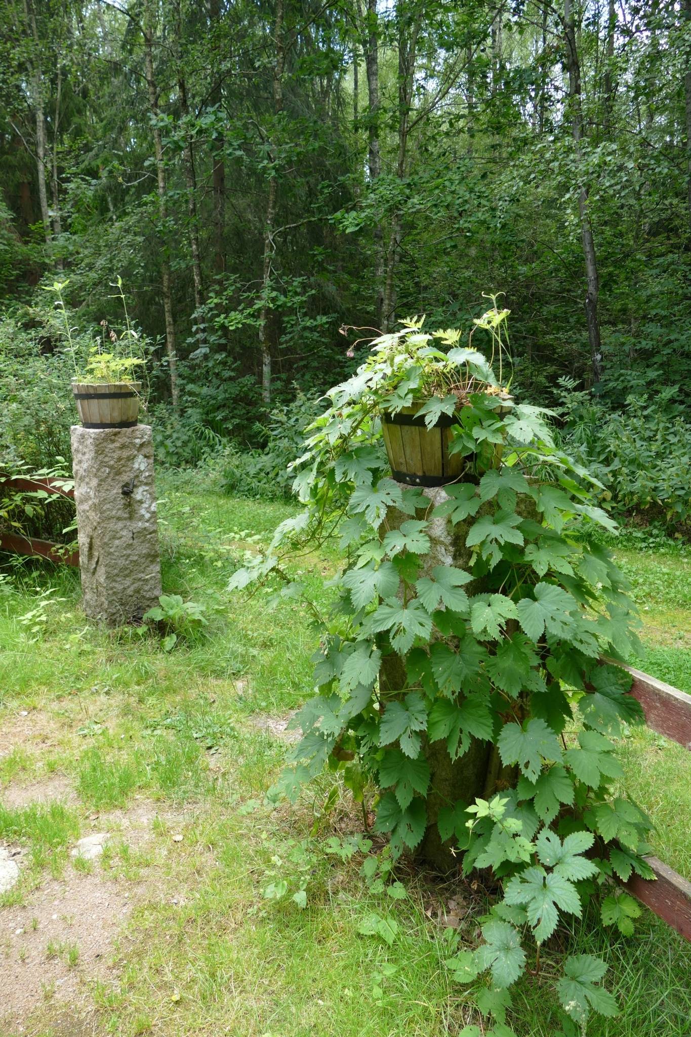 3 rum Fritidshus på Sandvik 11 Sandvik Tingsryds kommun - bild 19