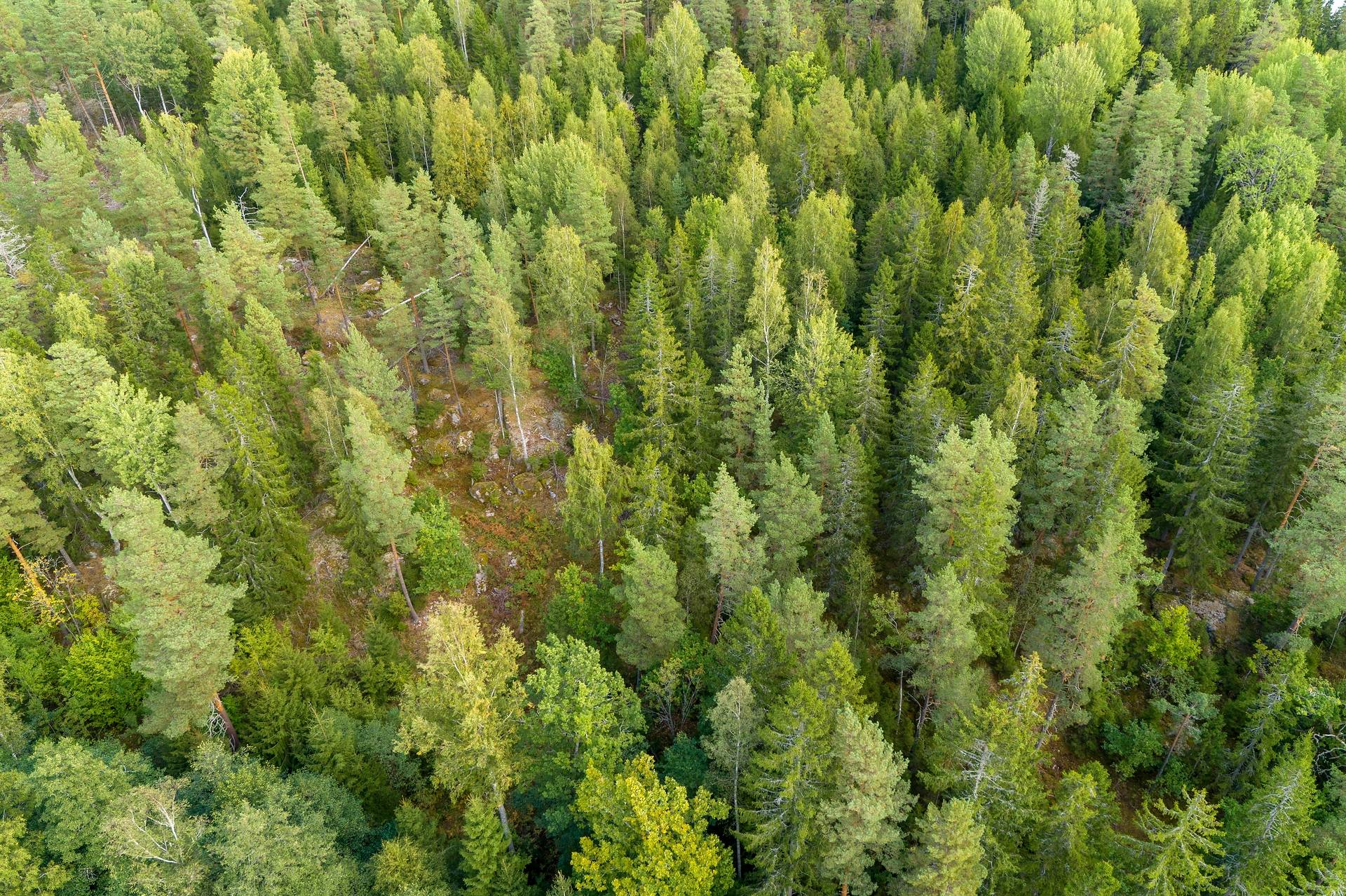 190 m² Gård med jordbruk på Djupviksängen Askersunds kommun - bild 20