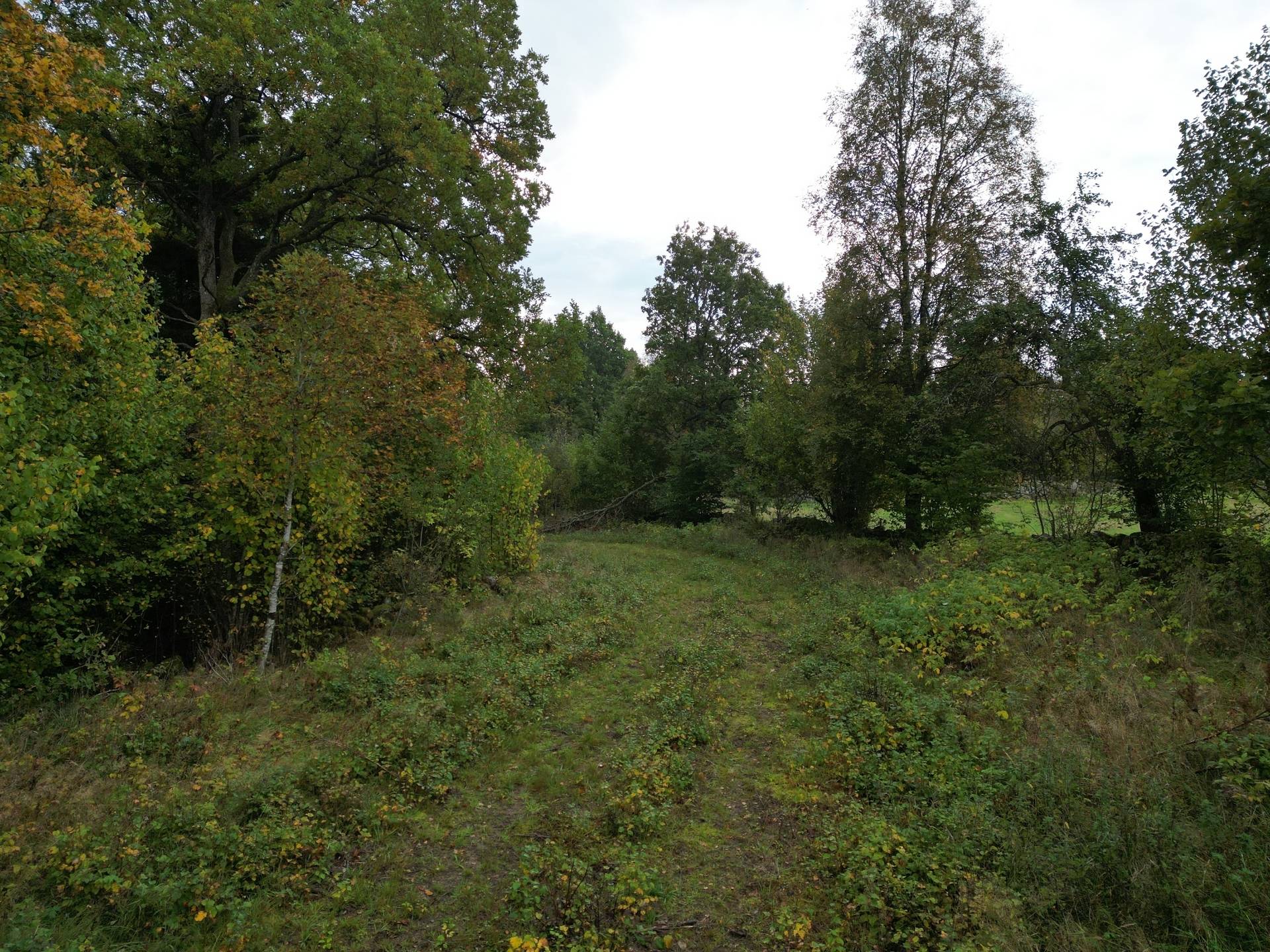 Gård med jordbruk på Yttrebo 107 Hylte kommun - bild 15