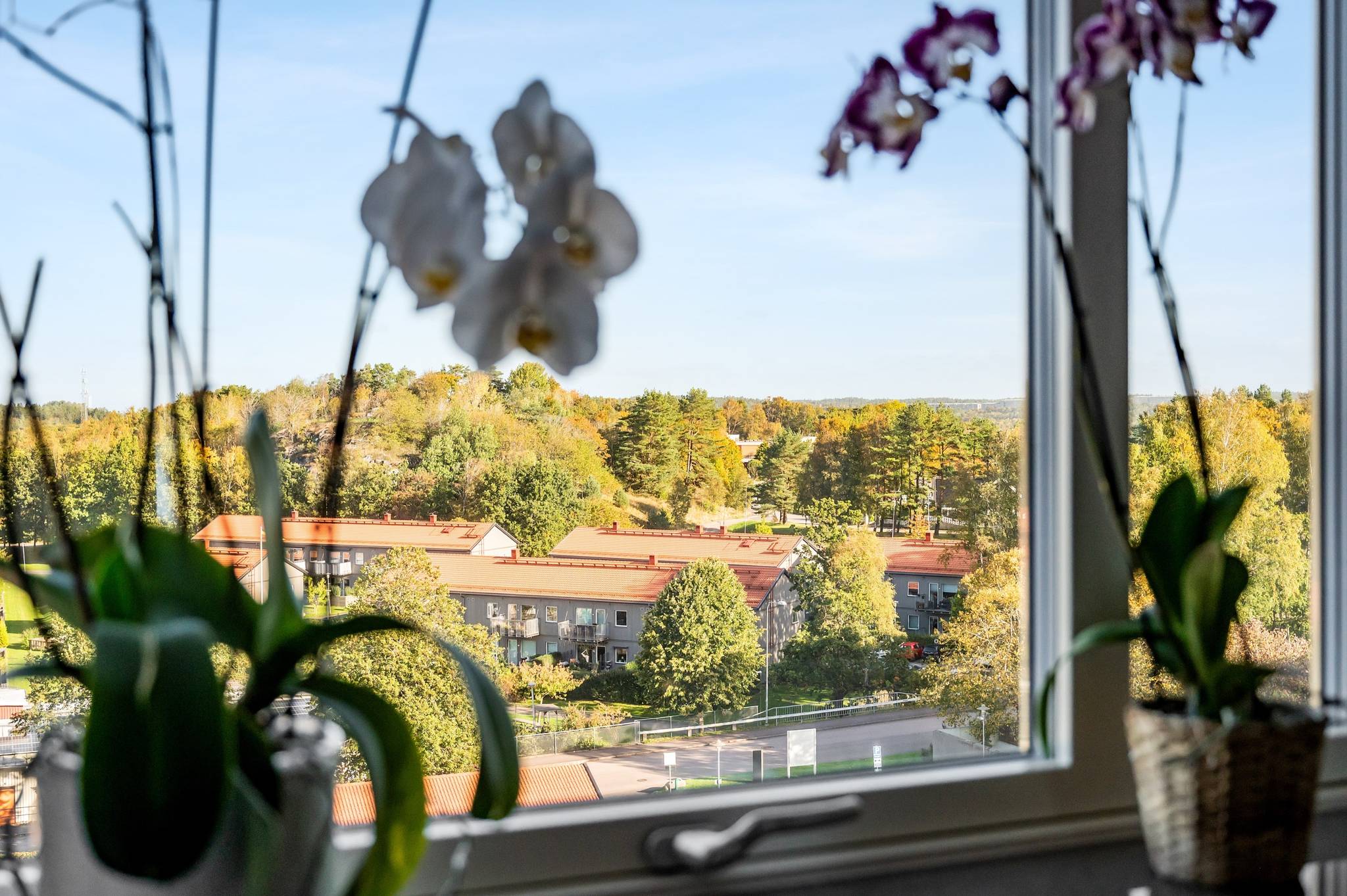 2 rum Lägenhet på Hammarkullegatan 8 Hammarkullen Göteborgs kommun - bild 12